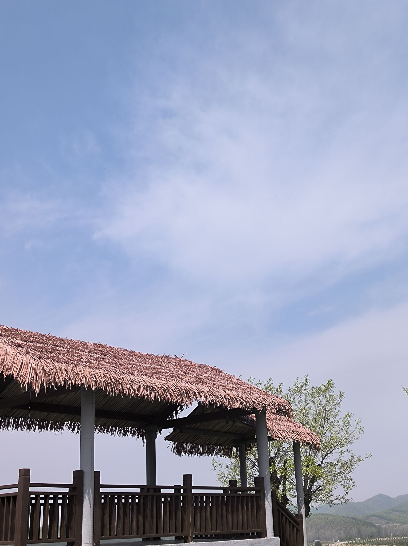 远古南召旅行图片 3