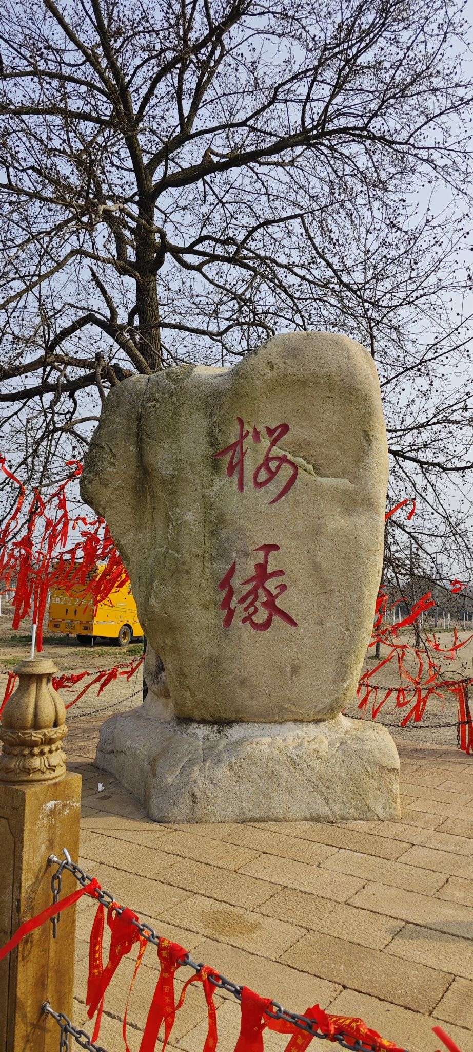 芜湖樱花文化园旅行图片 3