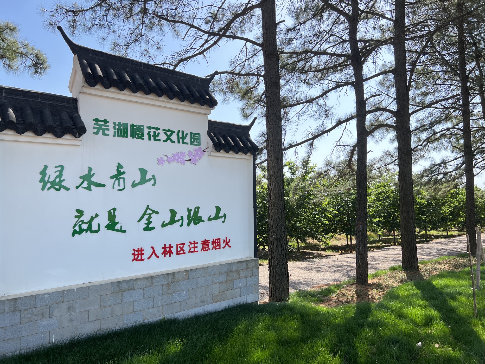 芜湖樱花文化园