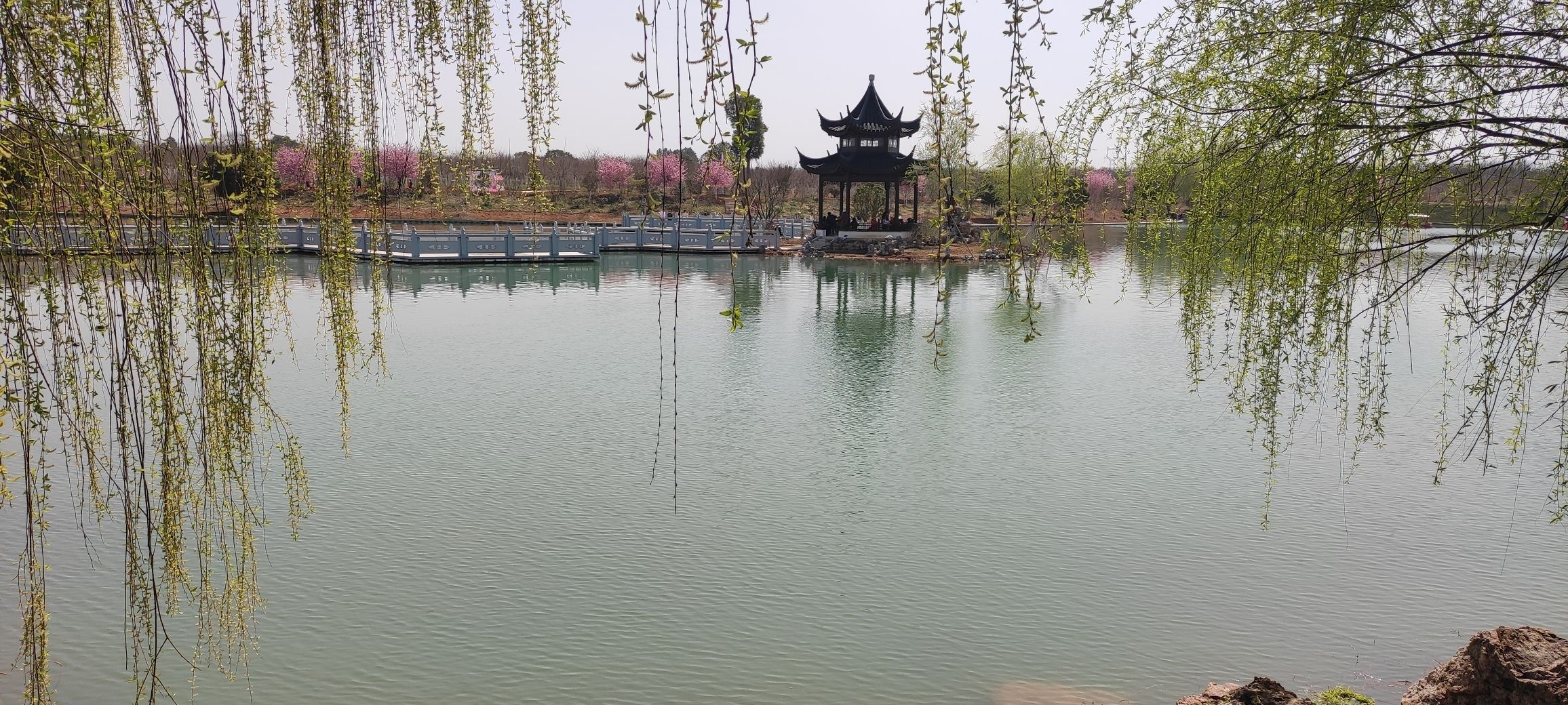 芜湖樱花文化园旅行图片 3