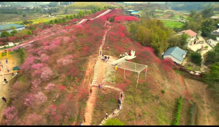 香溢谷景区旅行图片 2