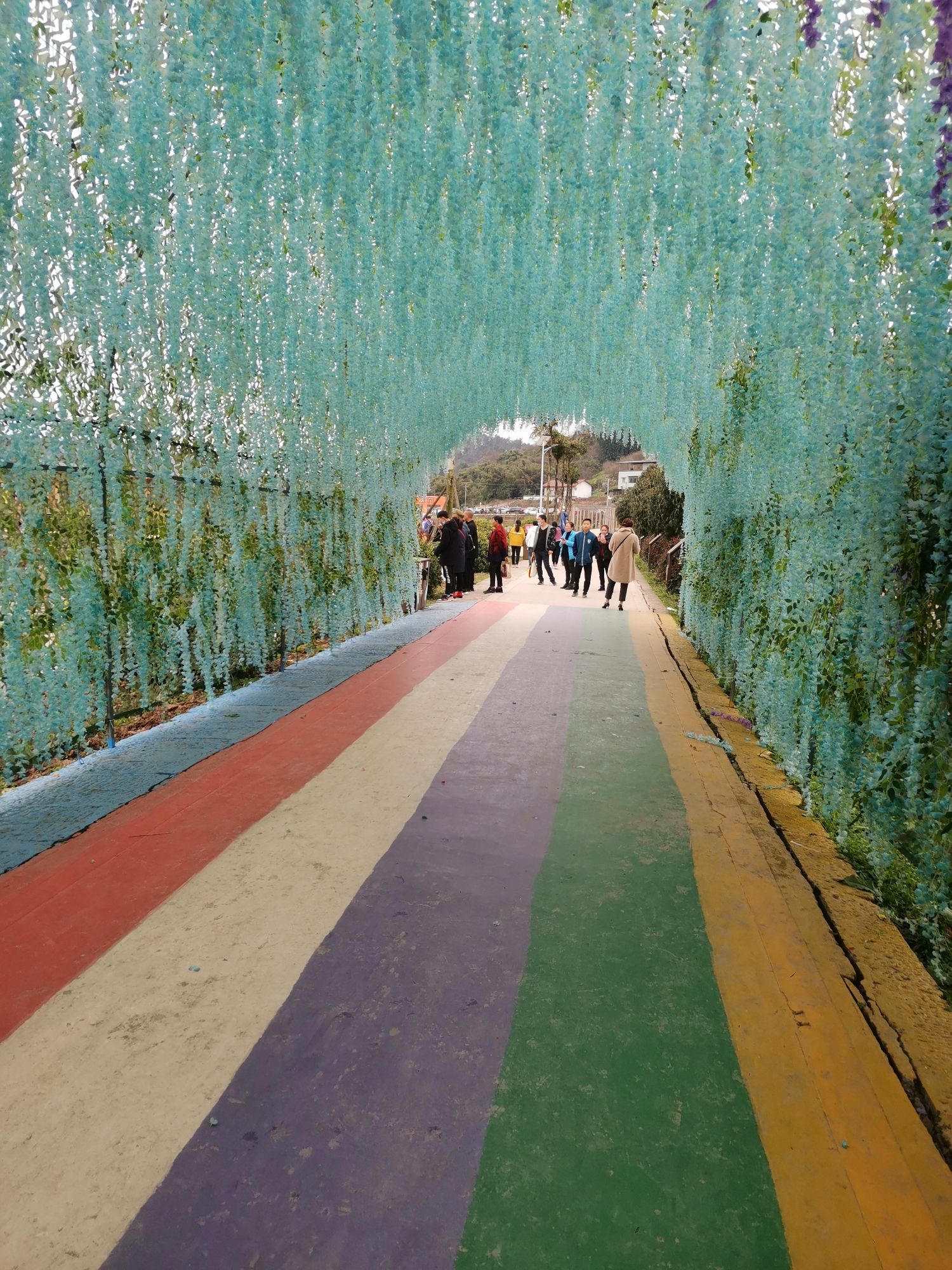 香溢谷景区旅行图片 3