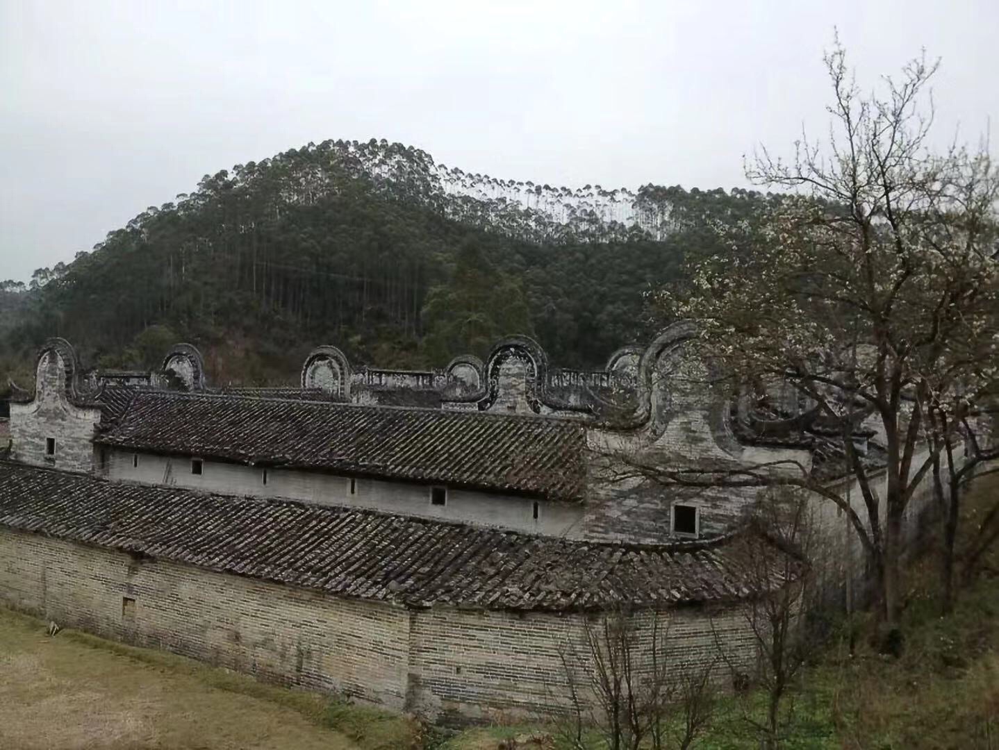 福庆里旅行图片 2