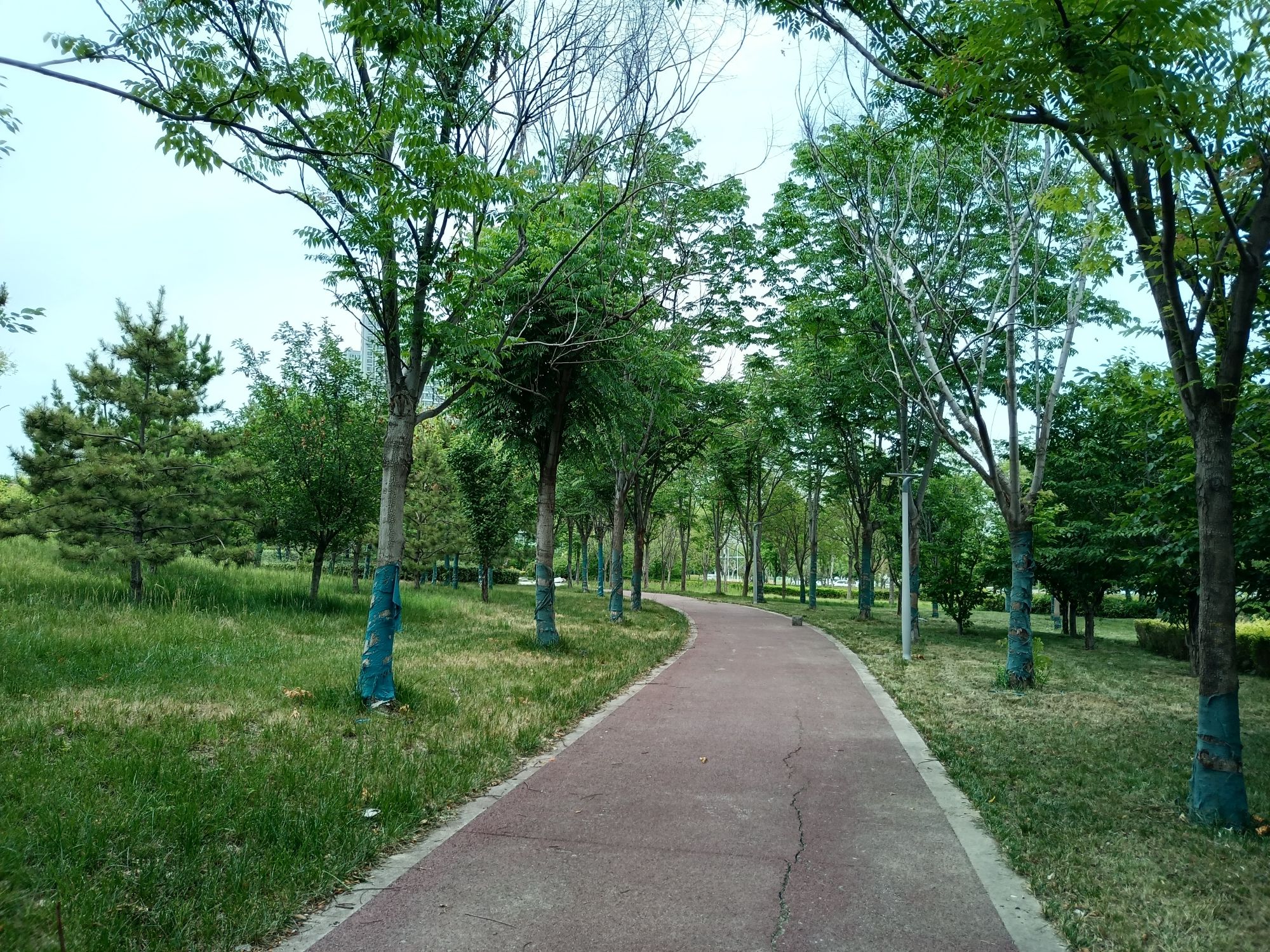 郑州华侨城街角公园旅行图片 3