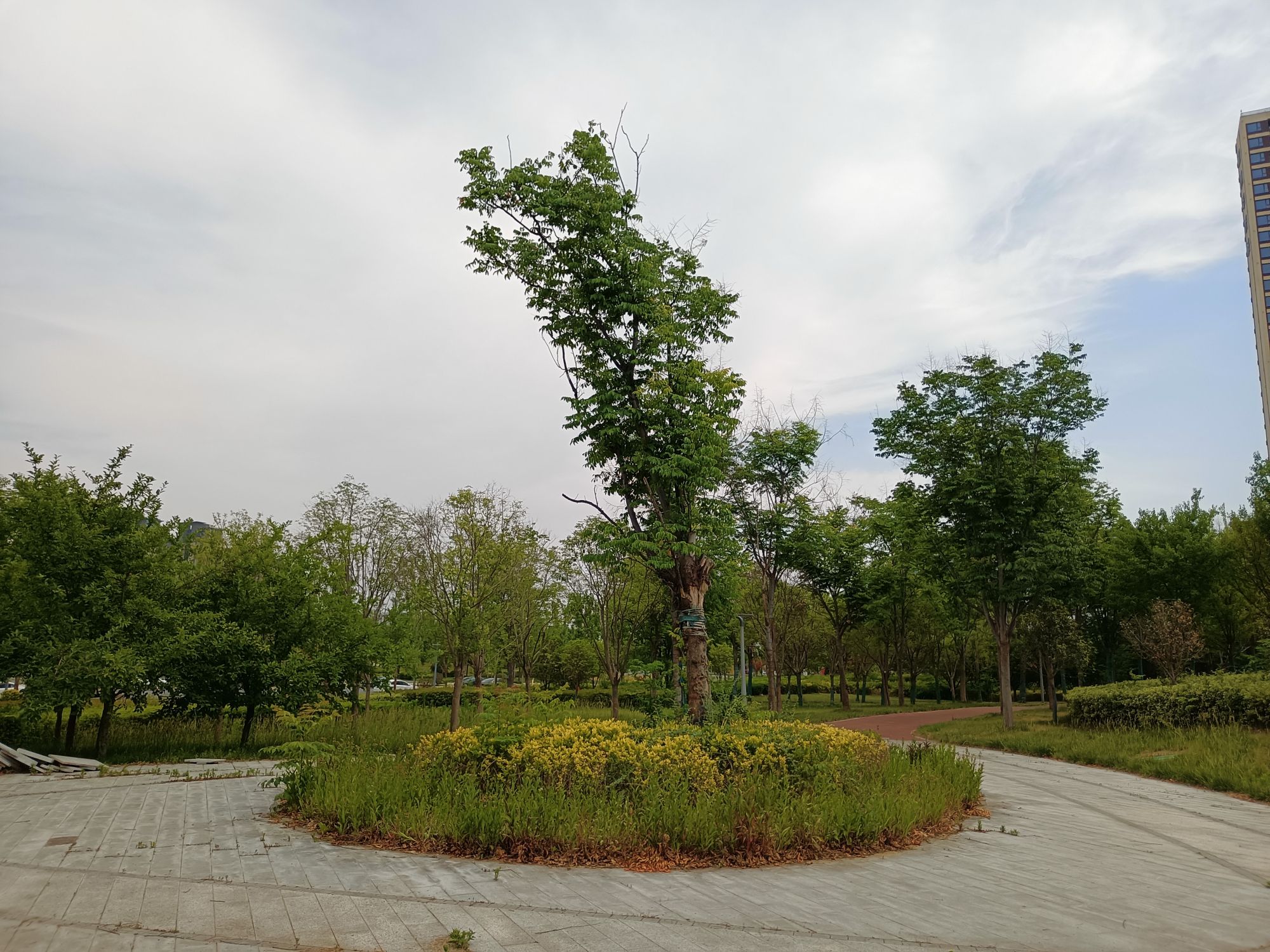 郑州华侨城街角公园旅行图片 2