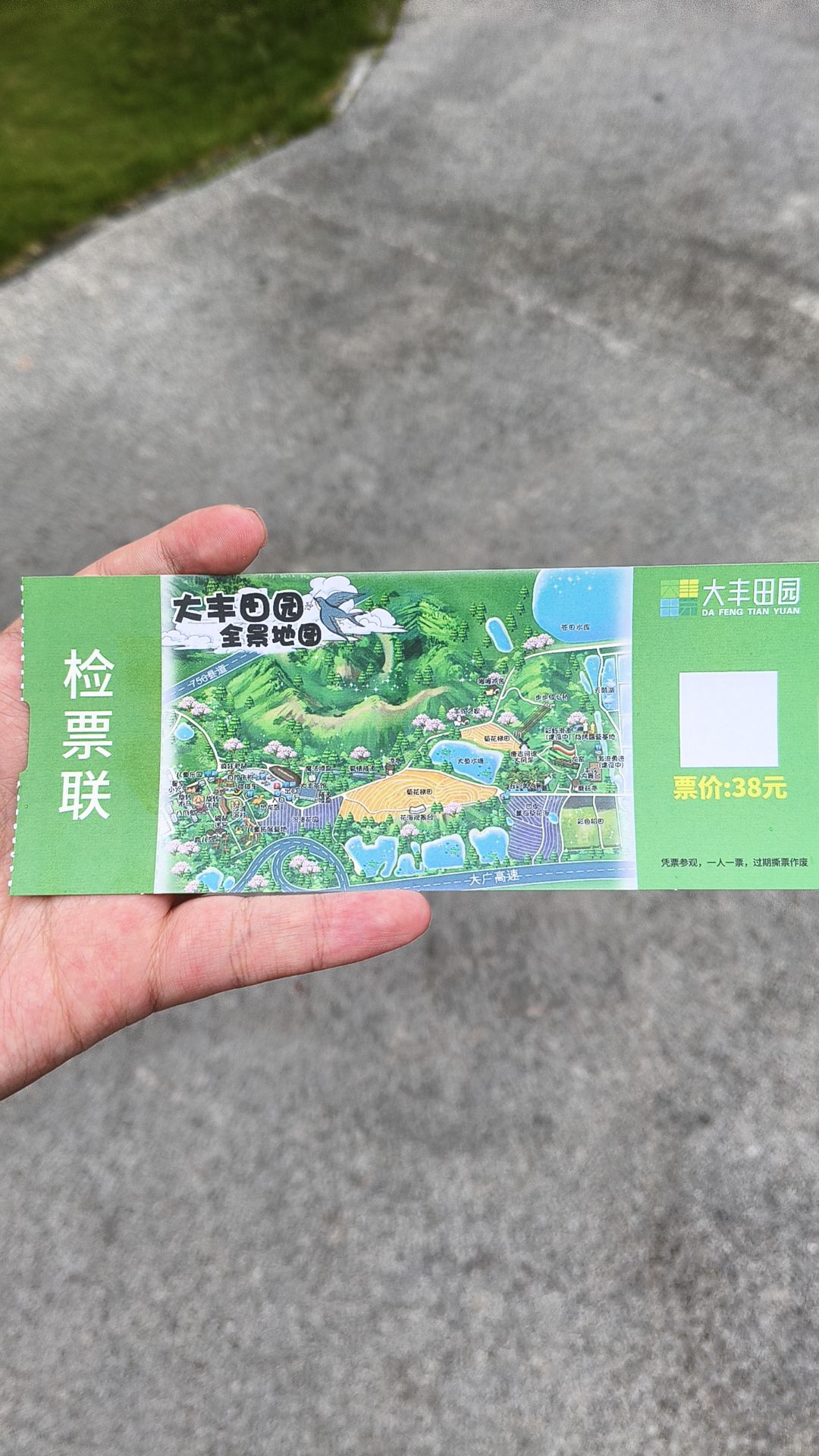 大丰田园景区旅行图片 3