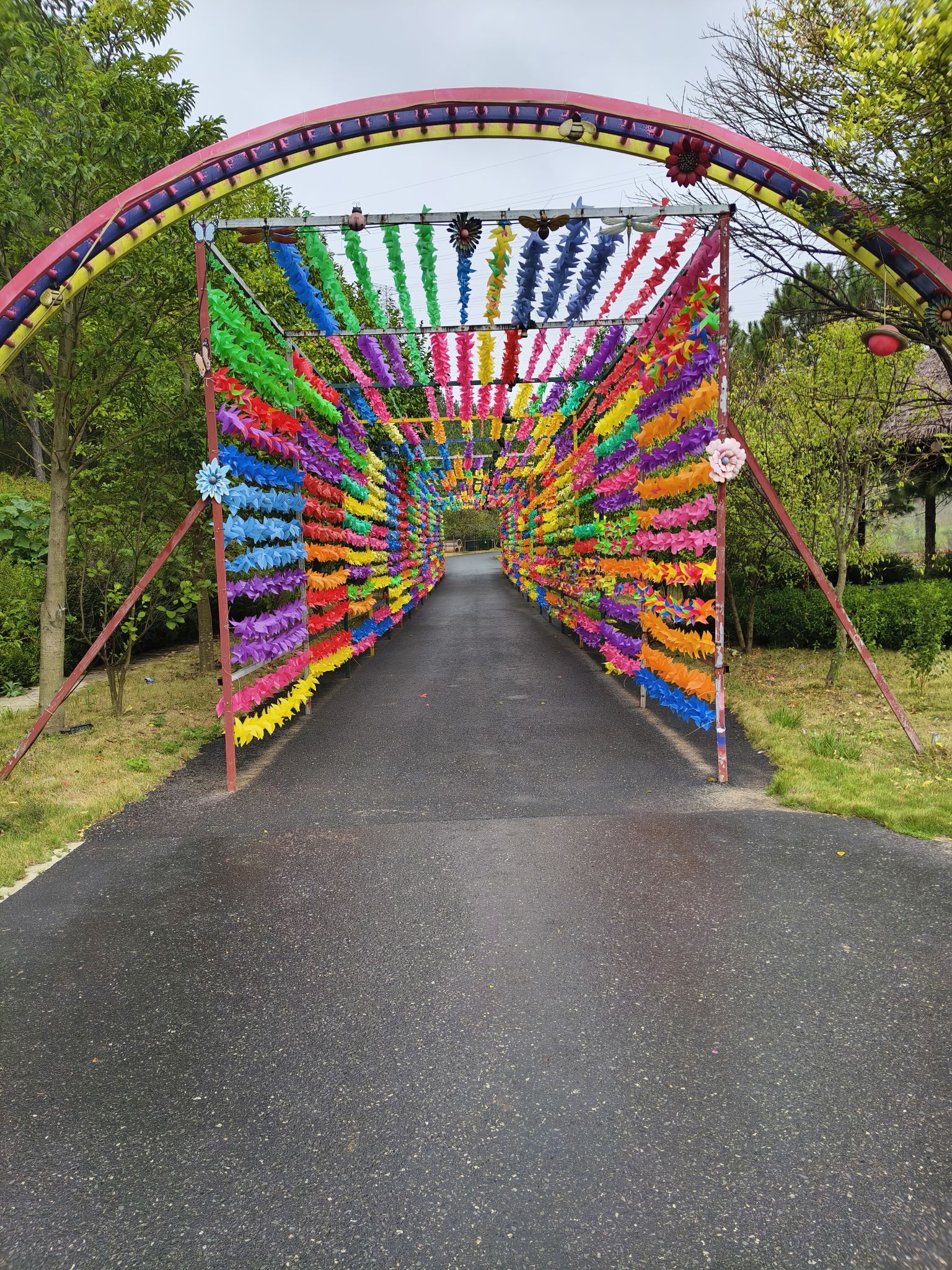 大丰田园景区旅行图片 1