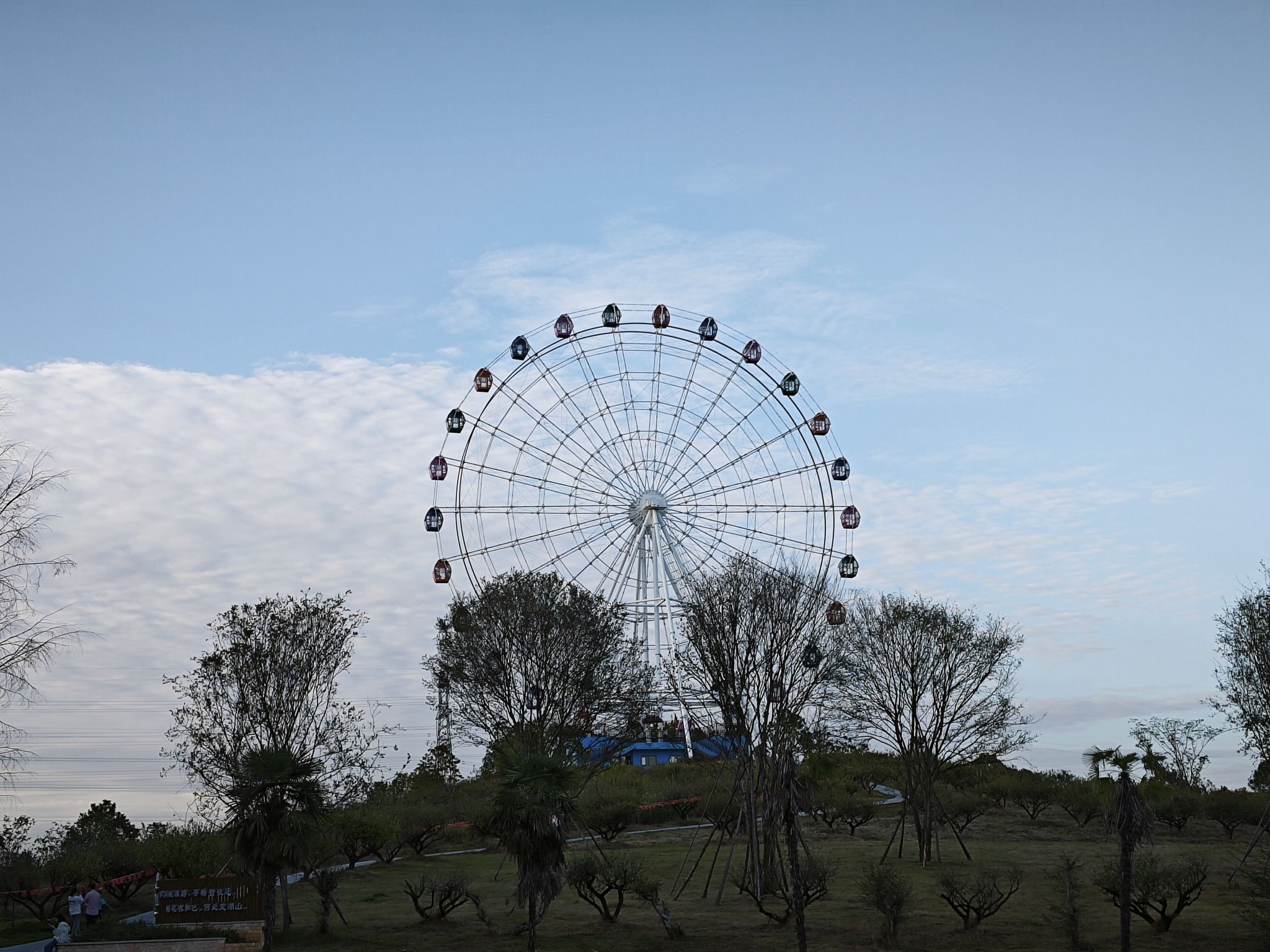大丰田园景区旅行图片 2