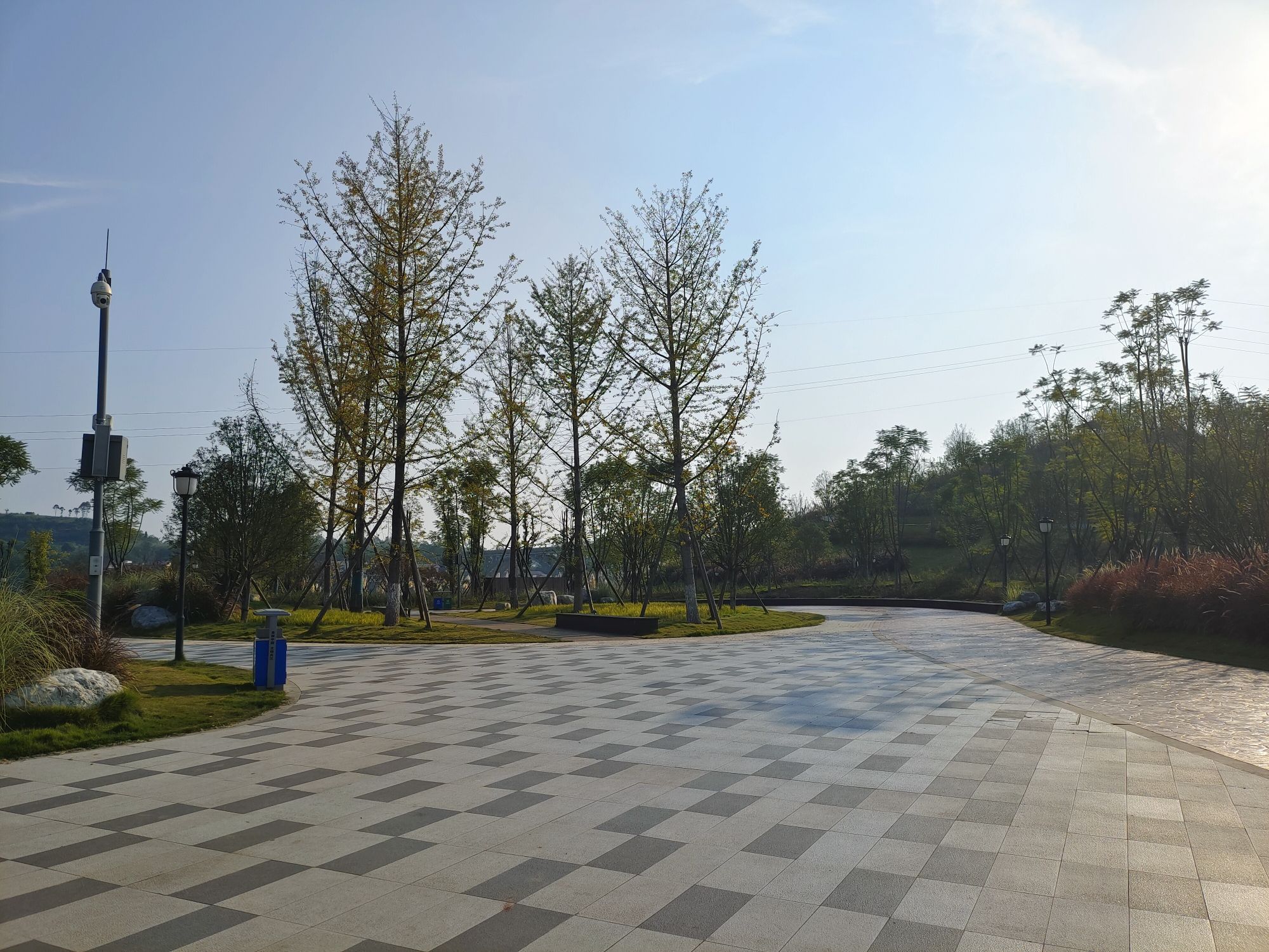 七家滩湿地公园旅行图片 2