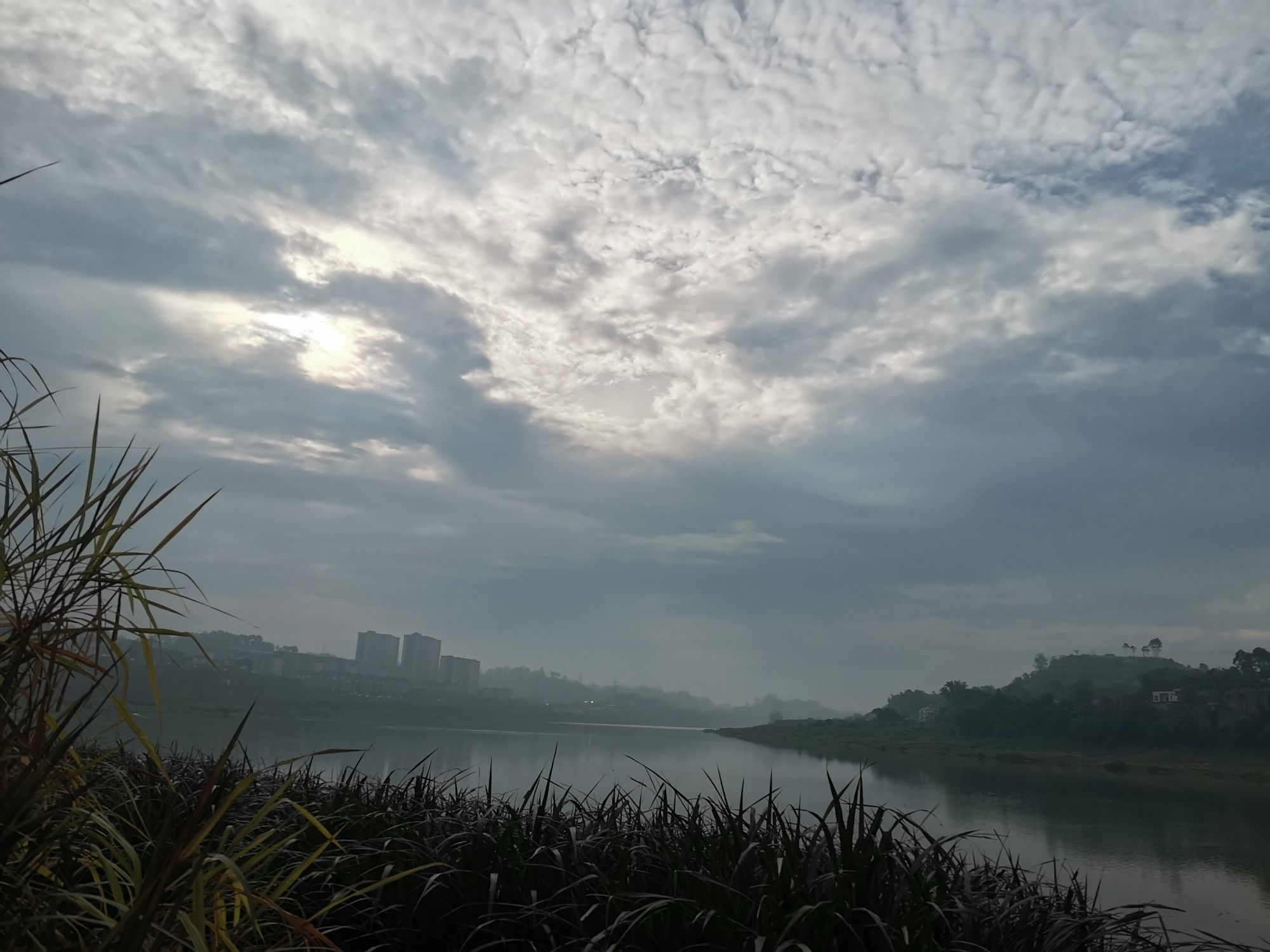 七家滩湿地公园旅行图片 2