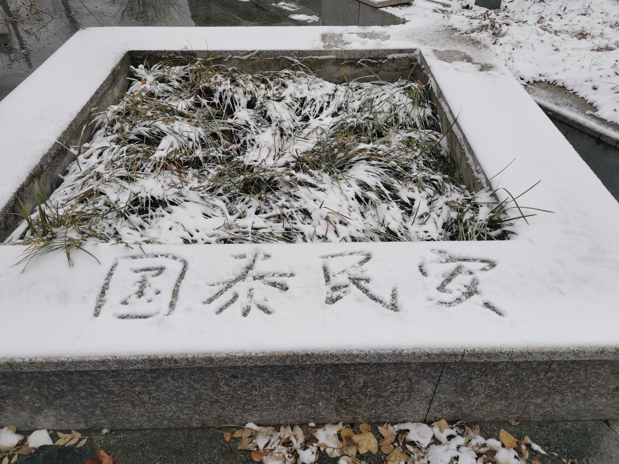 民法典主题公园旅行图片 2