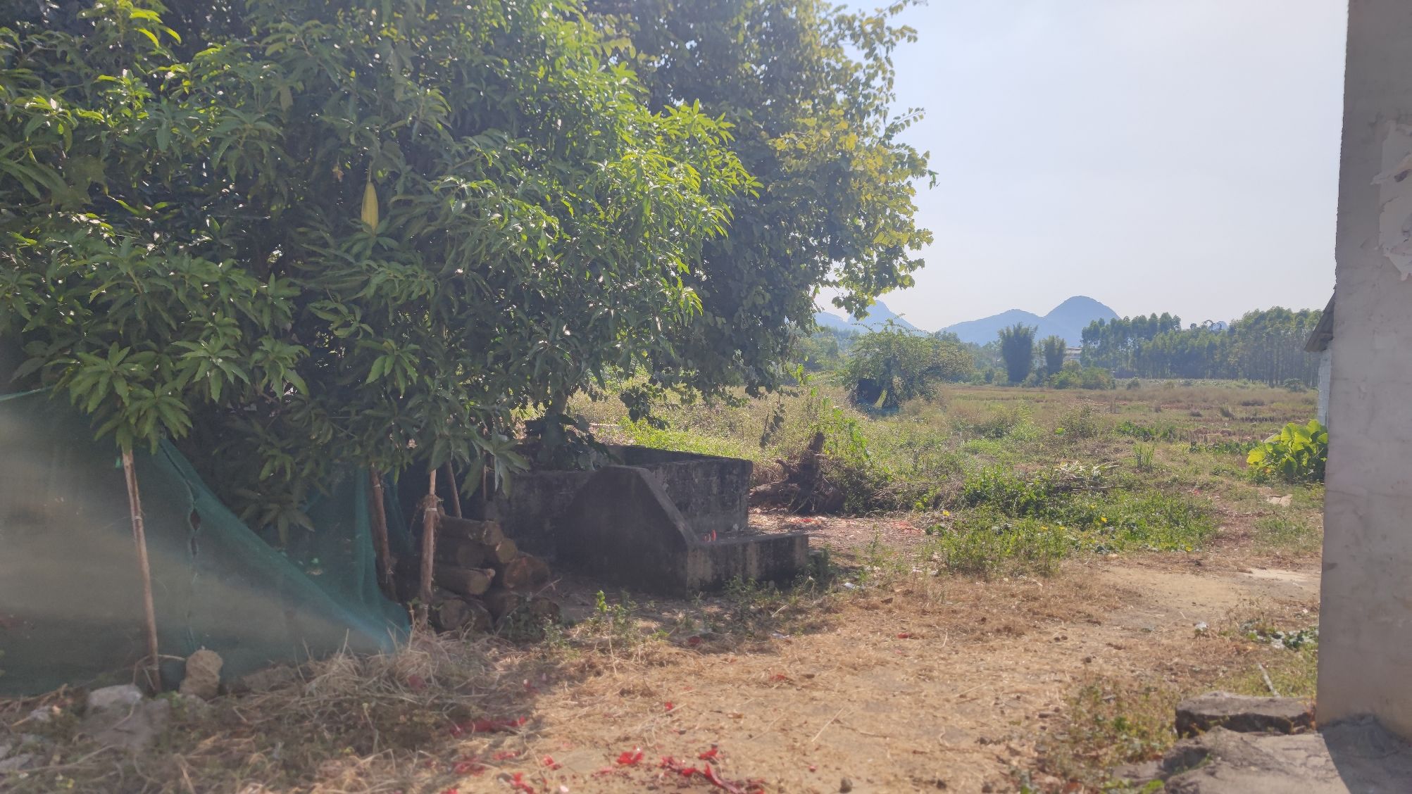 稻香土地公社旅行图片 3