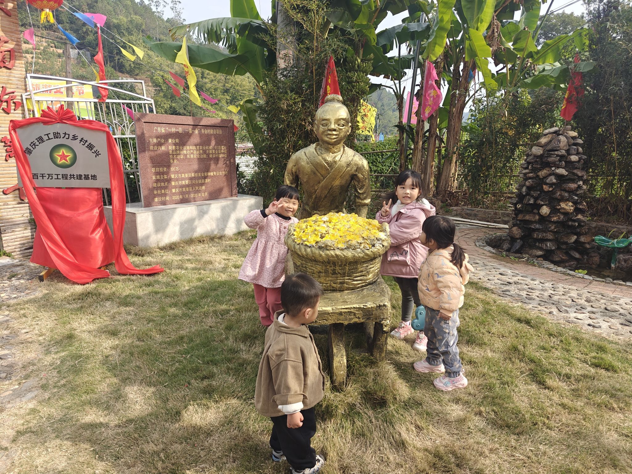 河台黄金菊景区旅行图片 1