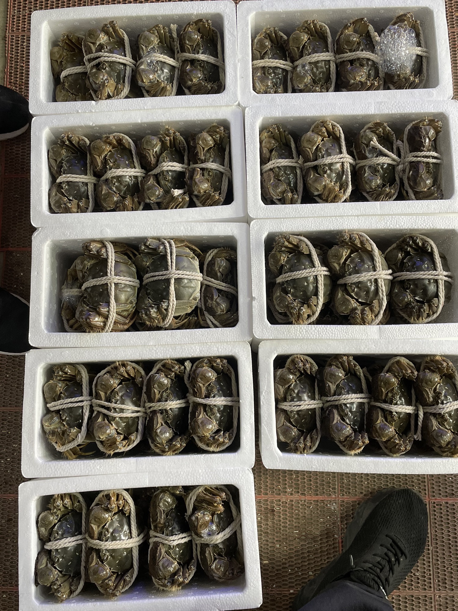 陈永水产螃蟹龙虾甲鱼贵鱼