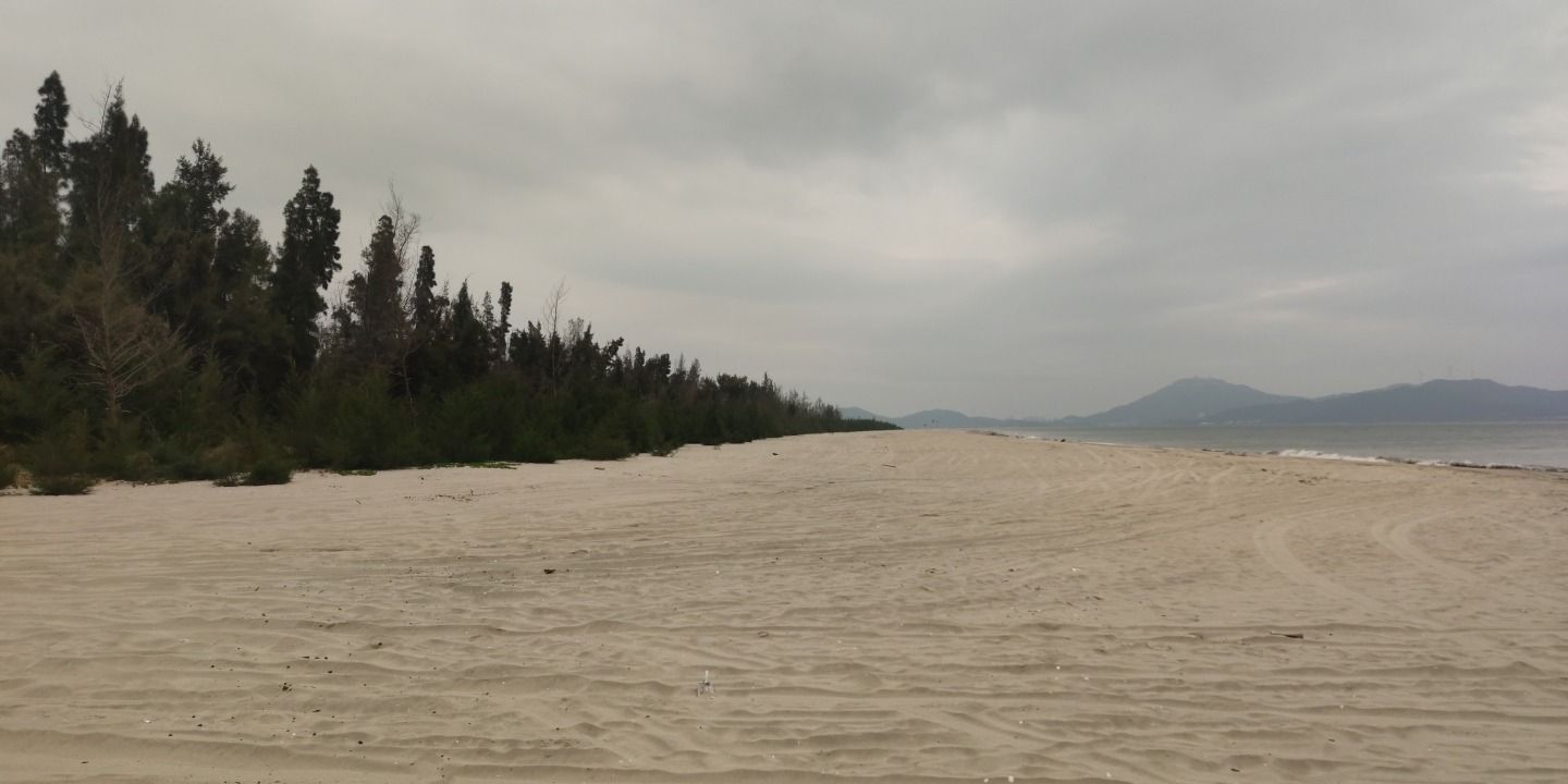 溪头镇北寮湾红树林公园旅行图片 1