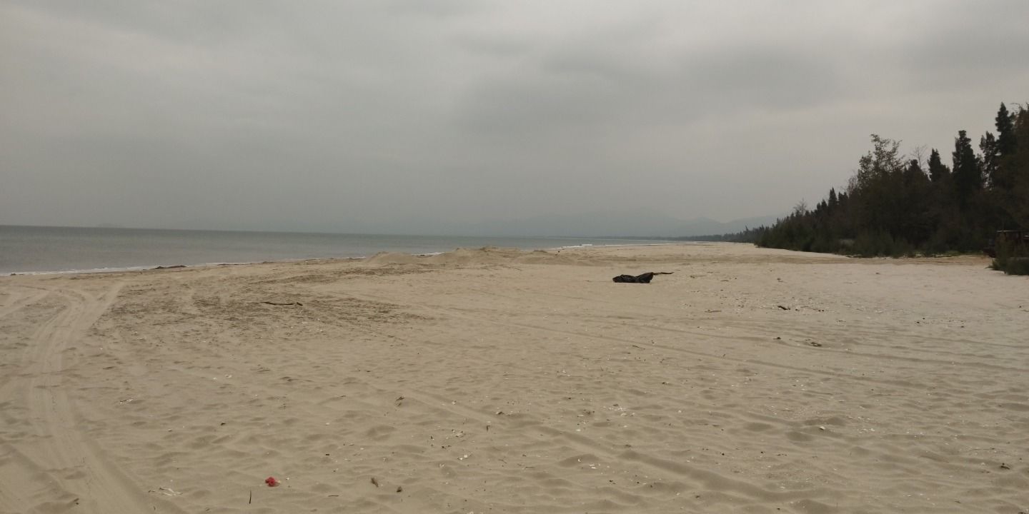 溪头镇北寮湾红树林公园旅行图片 2