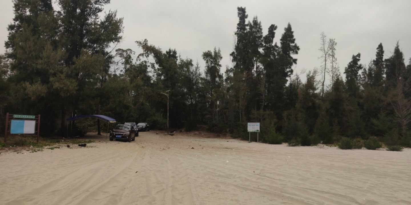 溪头镇北寮湾红树林公园旅行图片 3