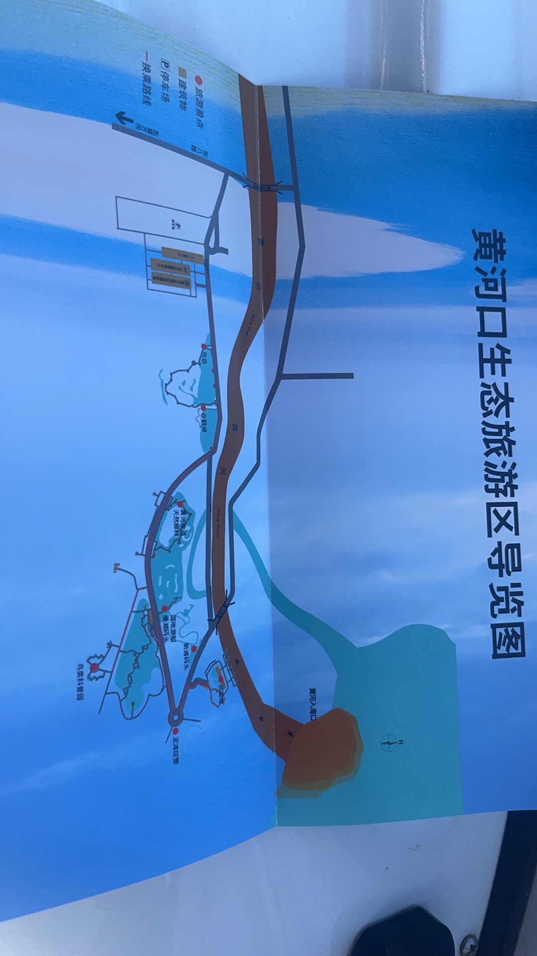 山东黄河三角洲国家级自然保护区旅行图片 1