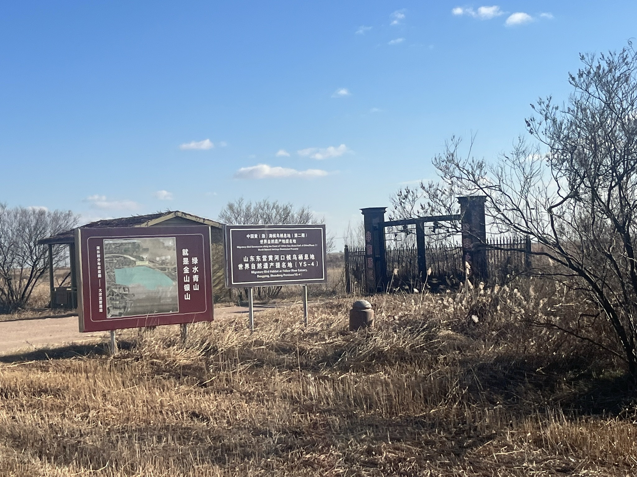 山东黄河三角洲国家级自然保护区旅行图片 3