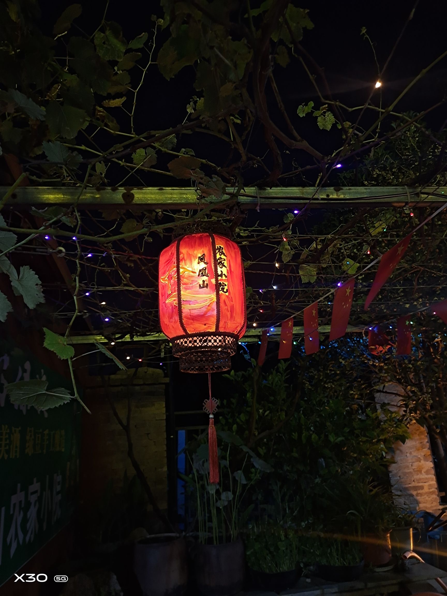 凤阳县凤凰山农家小院酒家