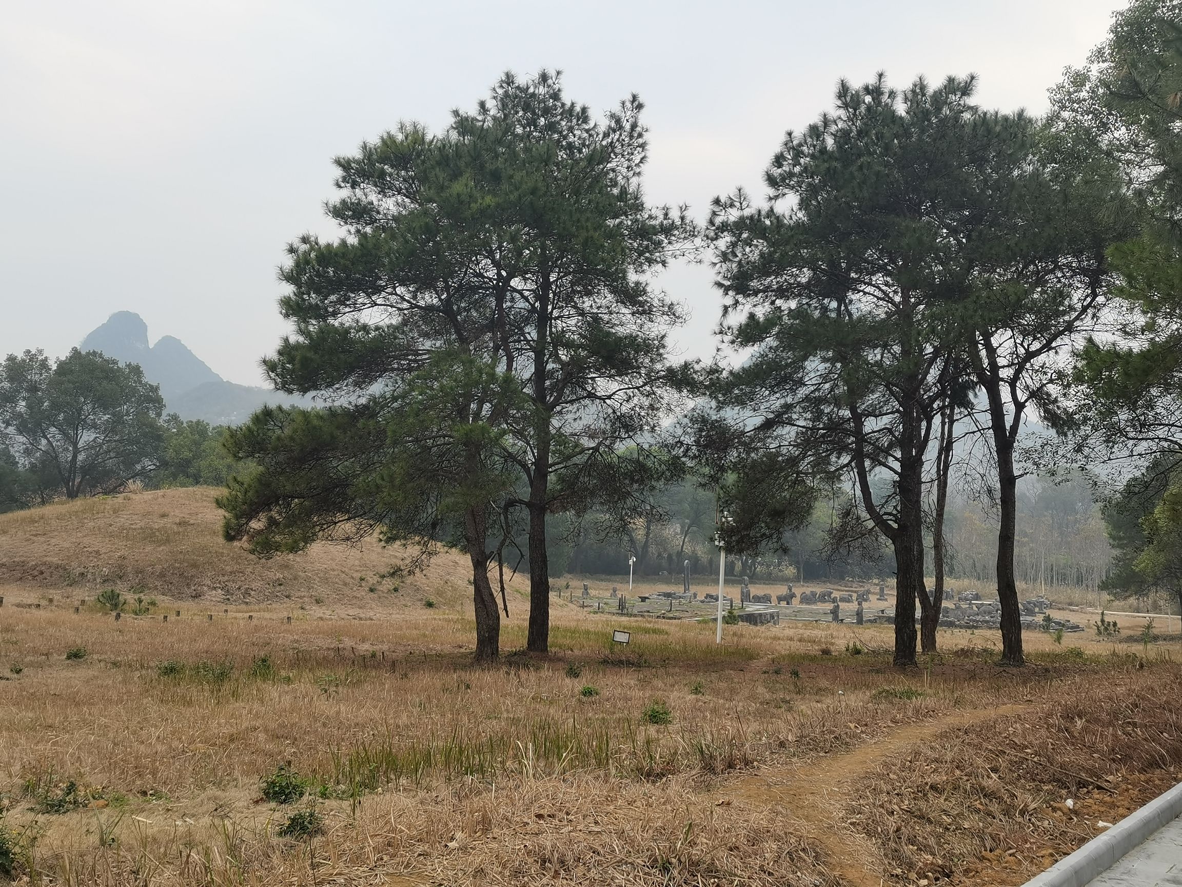 昭和王陵旅行图片 1