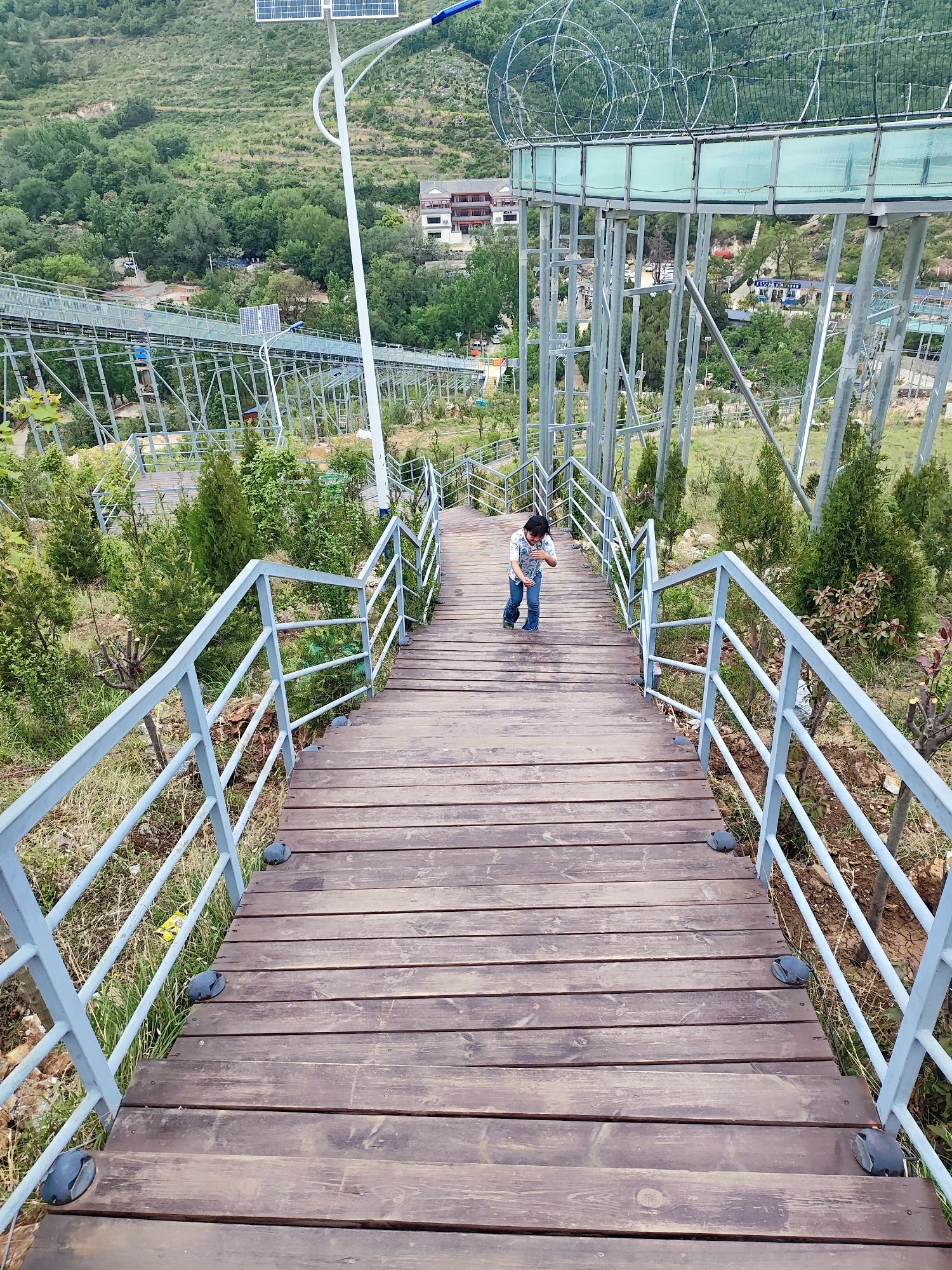 南阳红岭山地运动公园旅行图片 3
