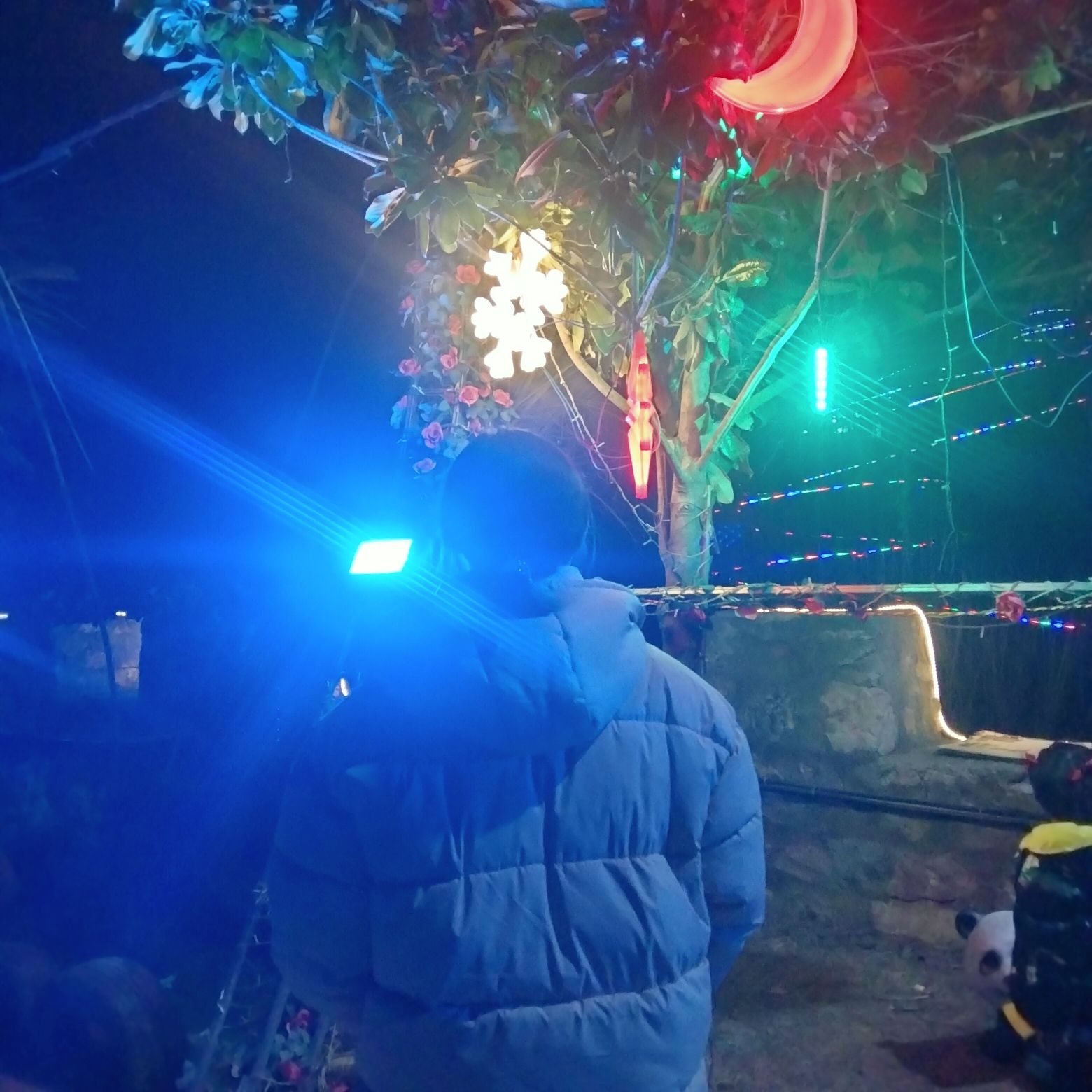南阳红岭山地运动公园旅行图片 1