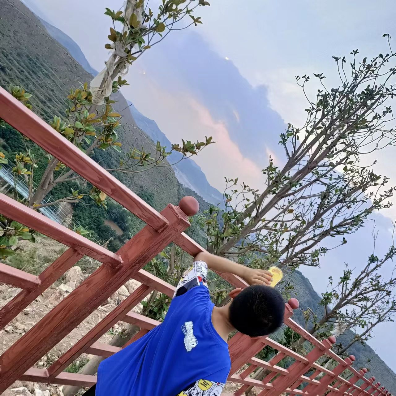 南阳红岭山地运动公园旅行图片 2