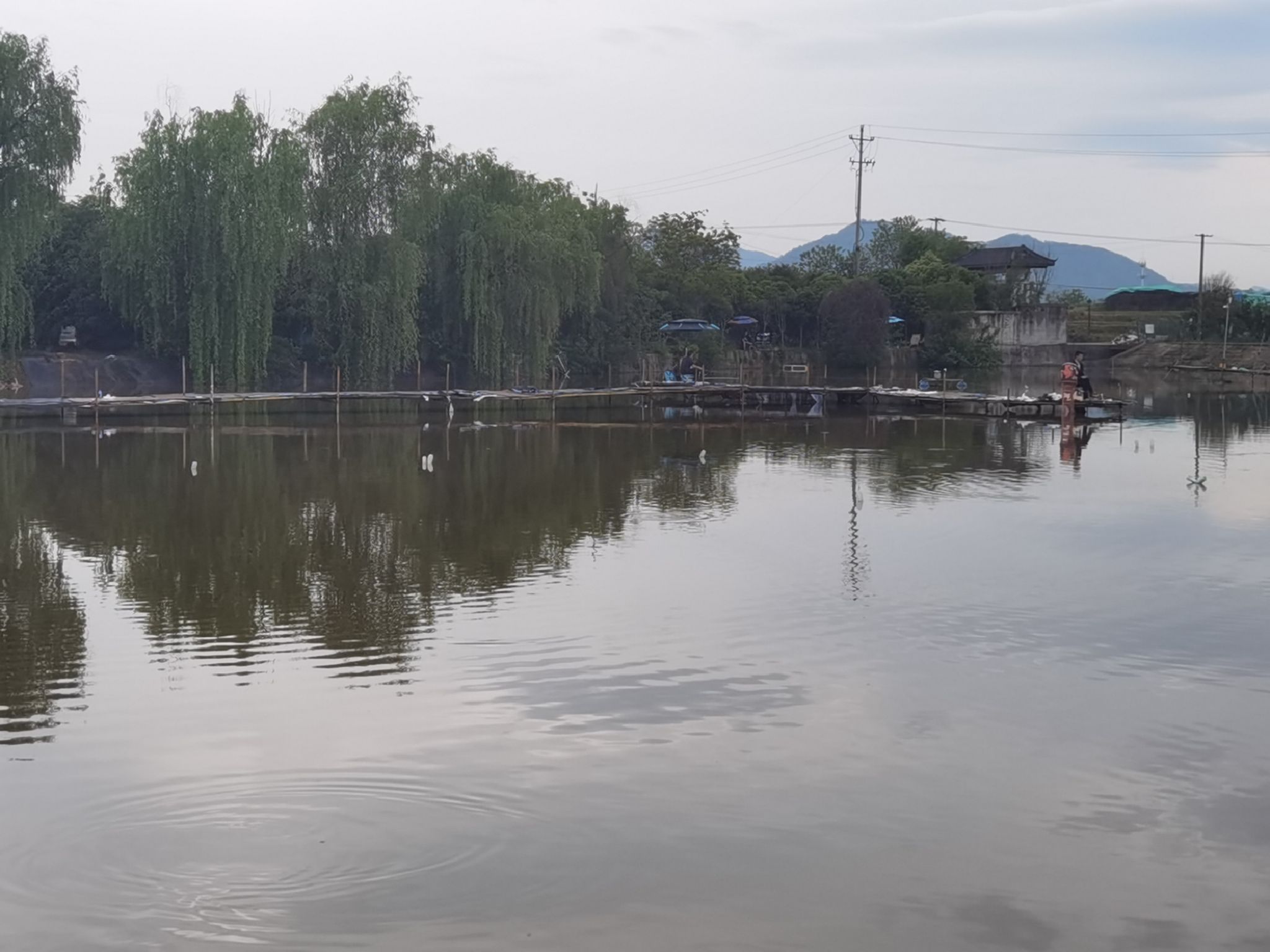 义乌市空钩悟道红联钓场