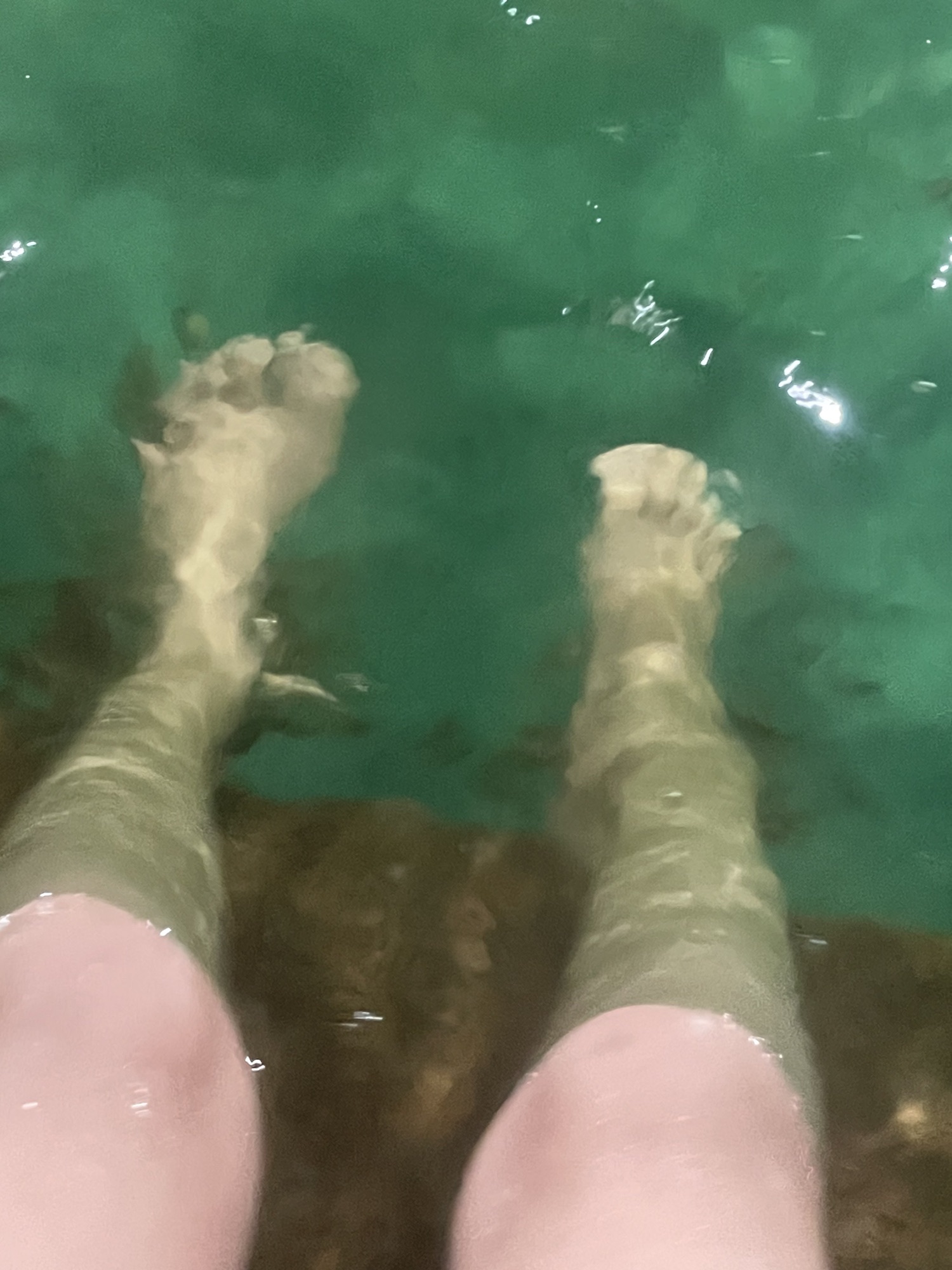 九里温泉度假村旅行图片 1