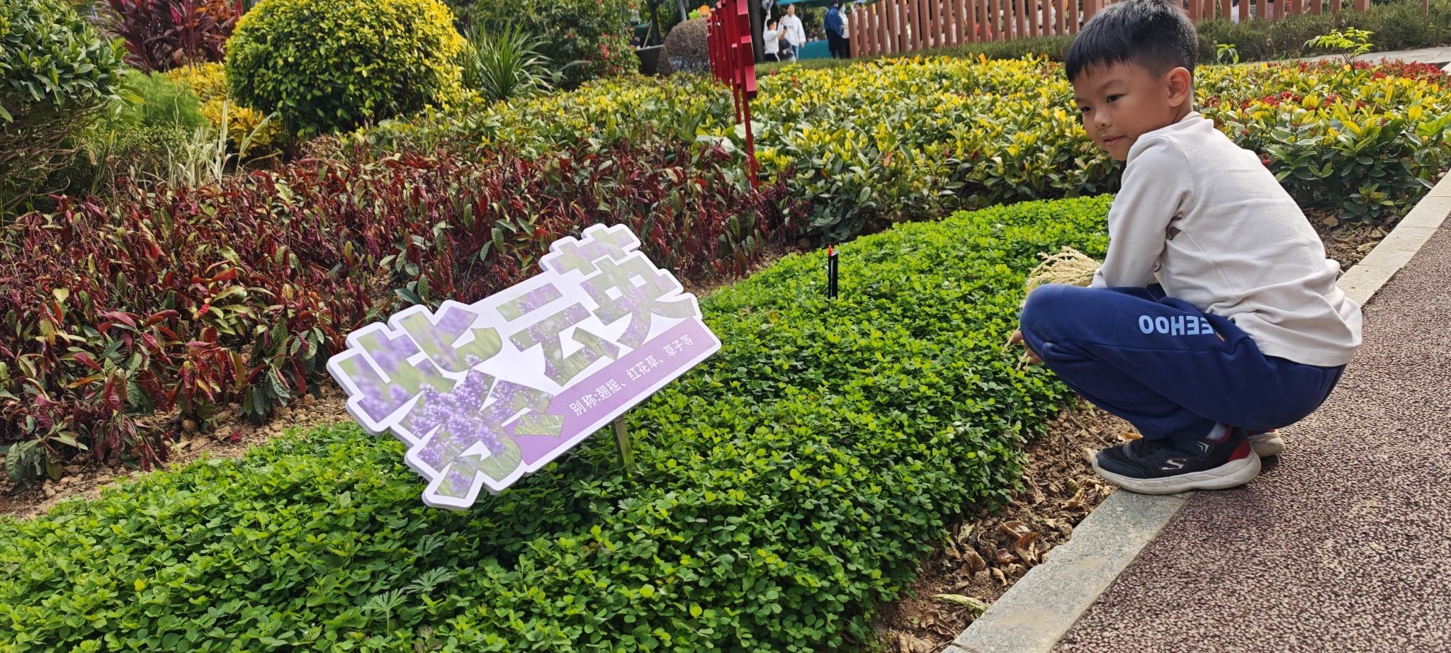 天河智慧农业公园旅行图片 2