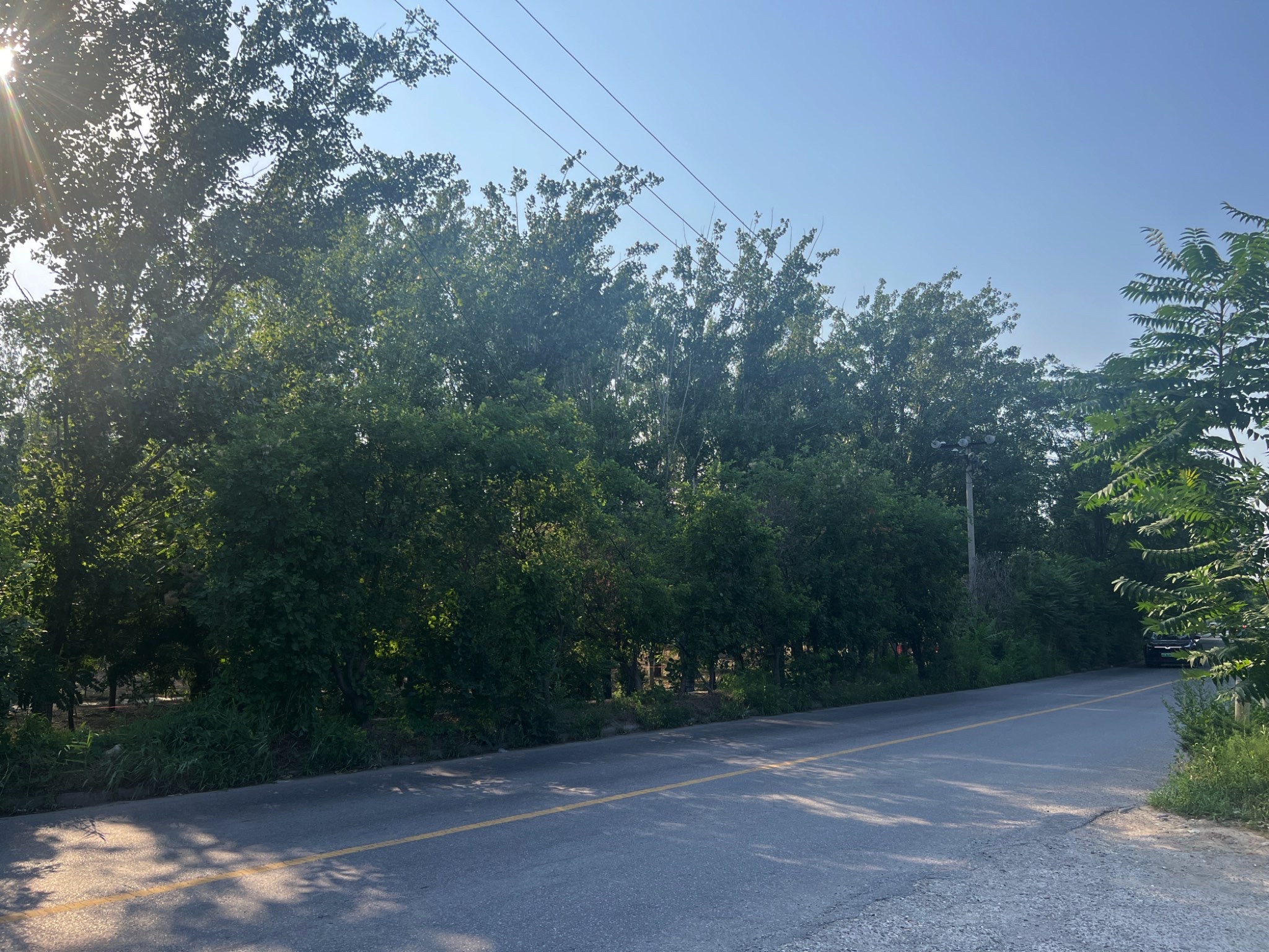 宝兴公园BohingPark旅行图片 2