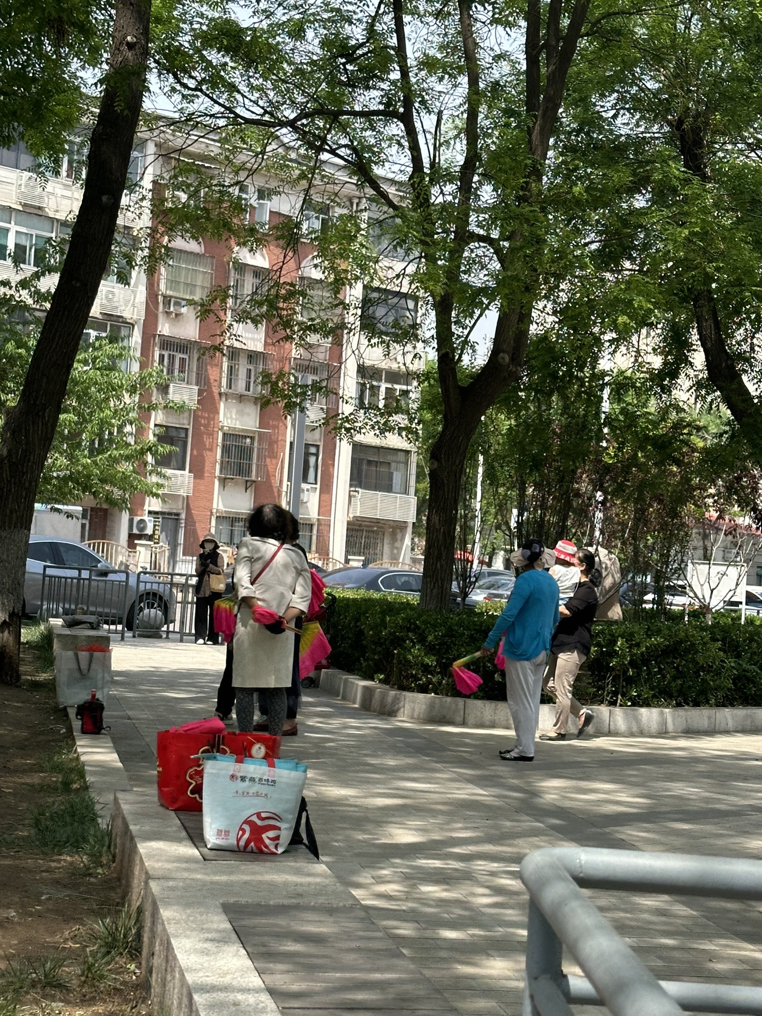 和平区垃圾分类主题公园旅行图片 3