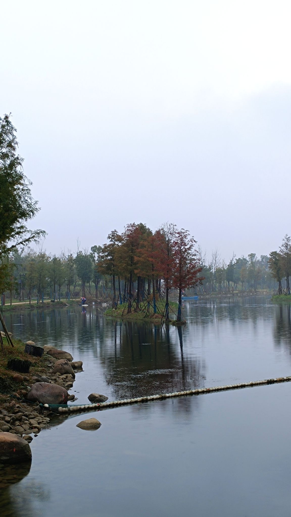 西太湖湿地公园旅行图片 1