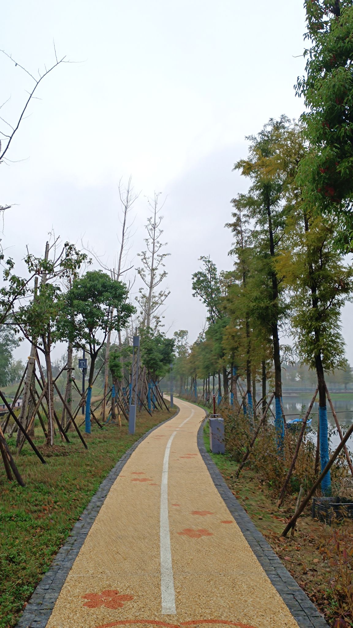 西太湖湿地公园旅行图片 3