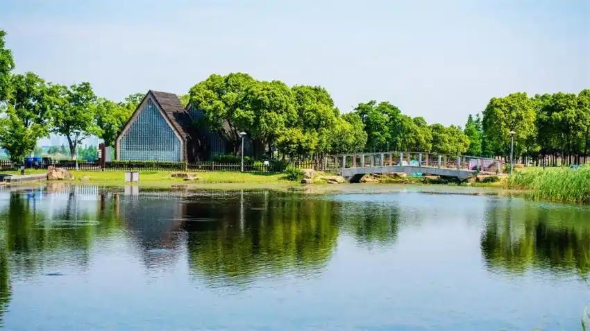 西太湖湿地公园旅行图片 2