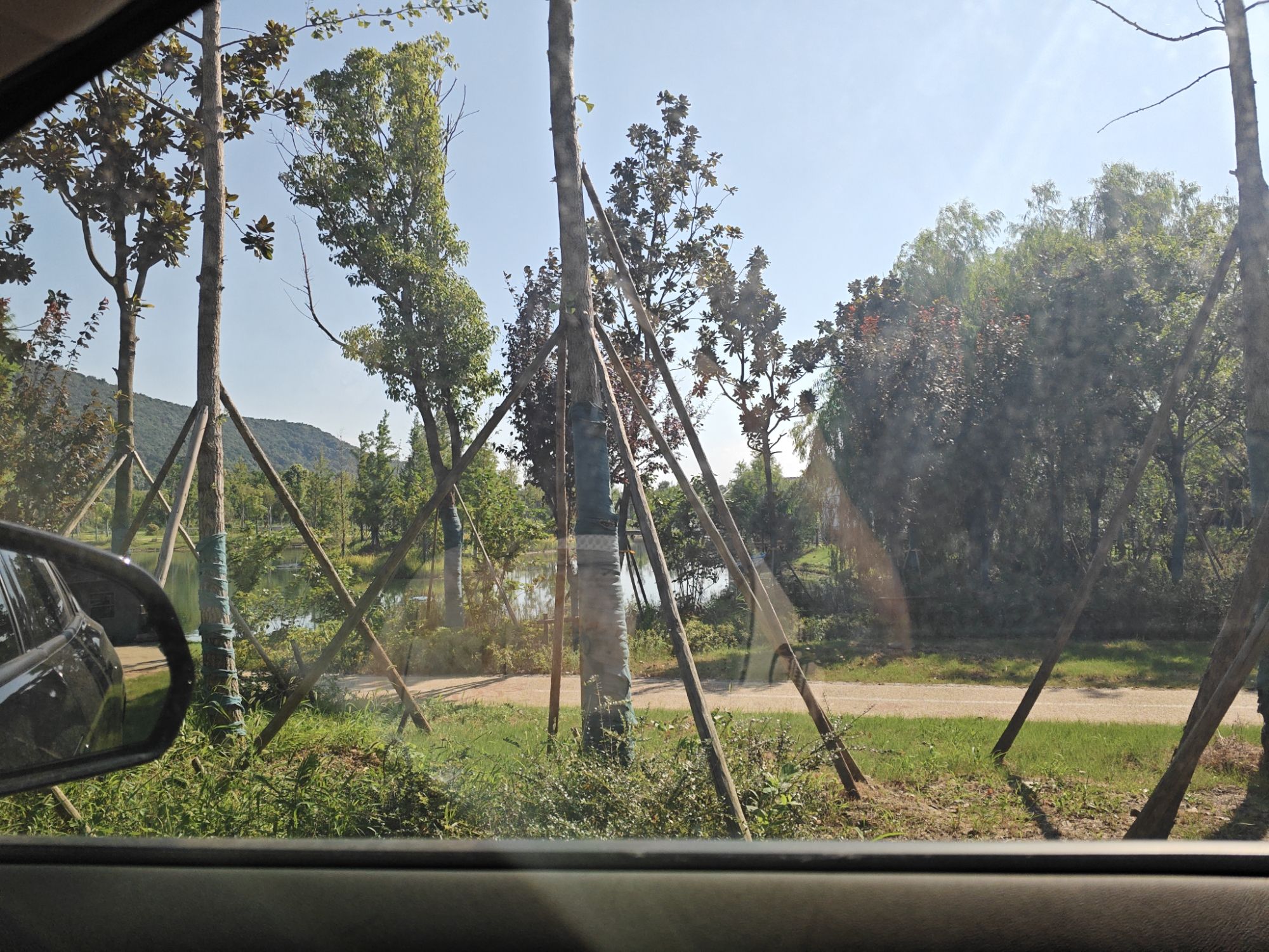 西太湖湿地公园旅行图片 2