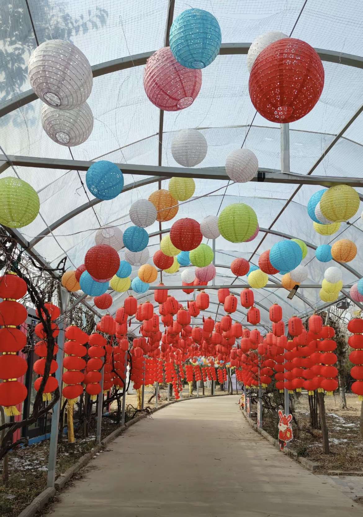 商部落探梦园景区旅行图片 2