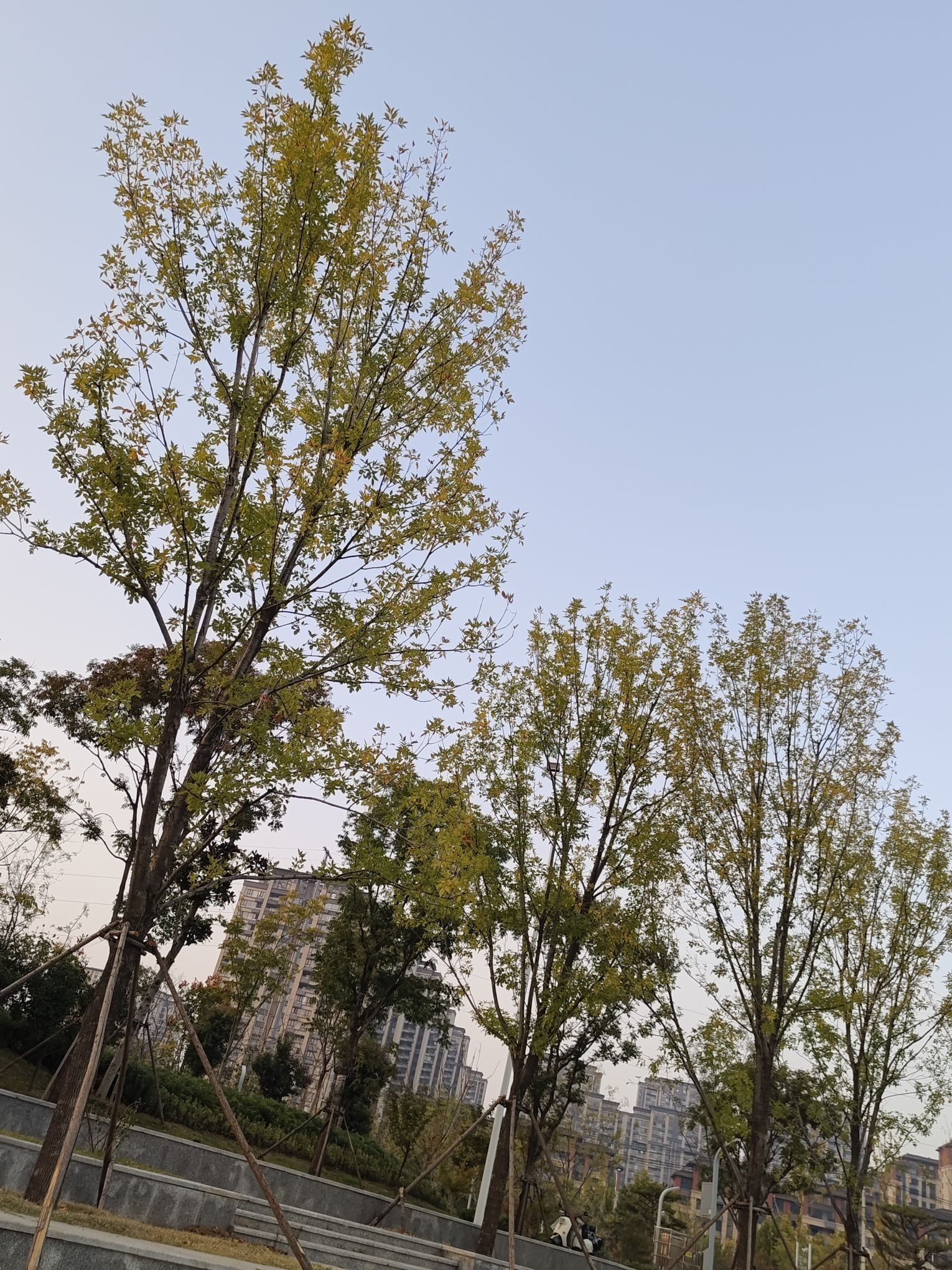 亳芜公园旅行图片 2
