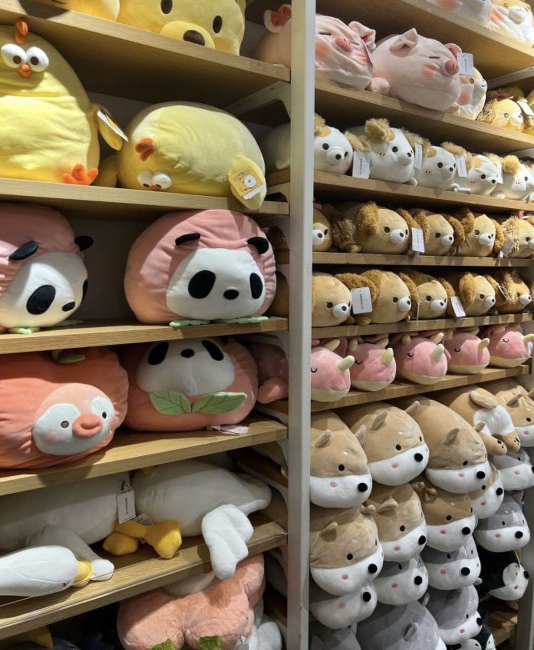 名创优品(亳州蒙城万达广场店)
