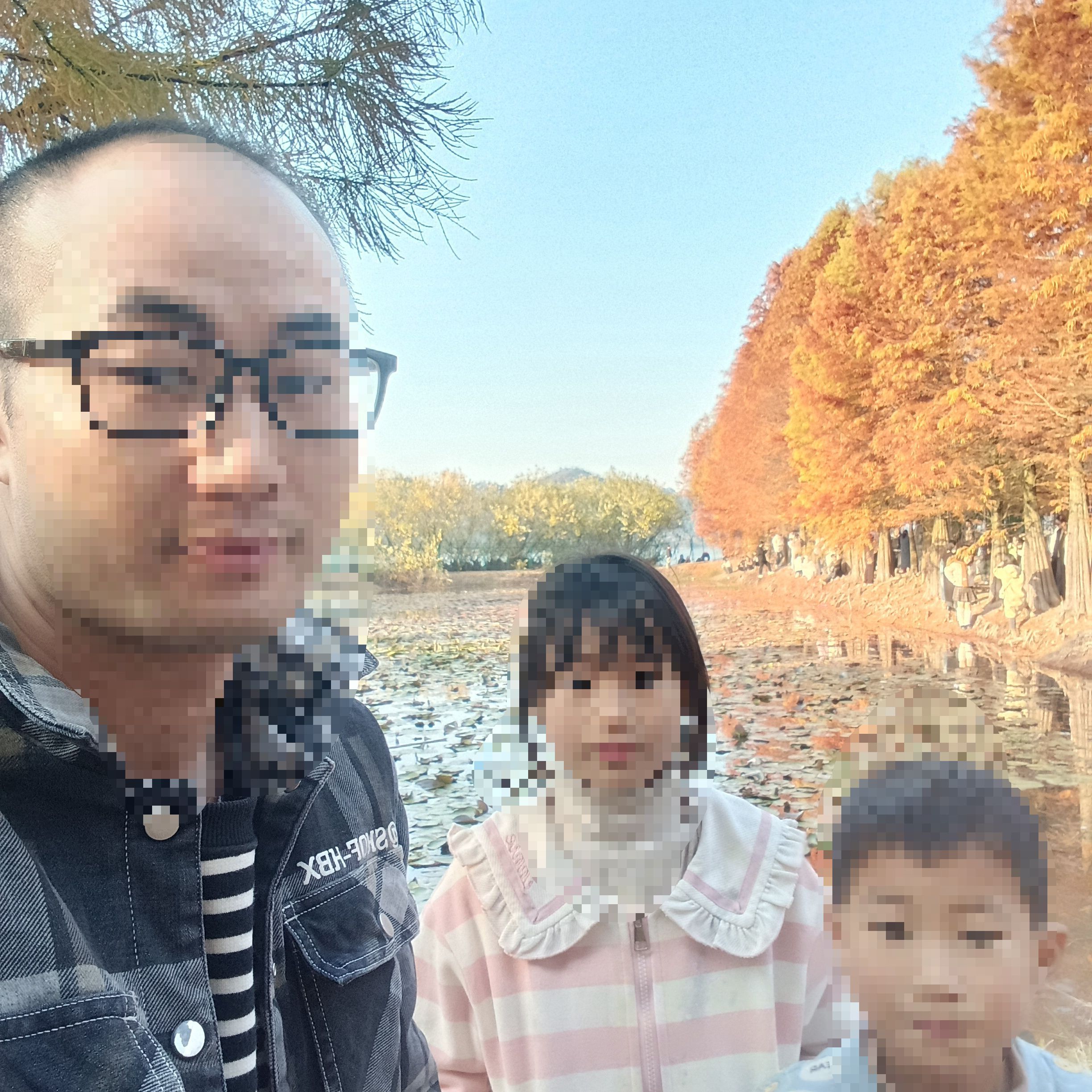 大石坎红水杉旅行图片 2