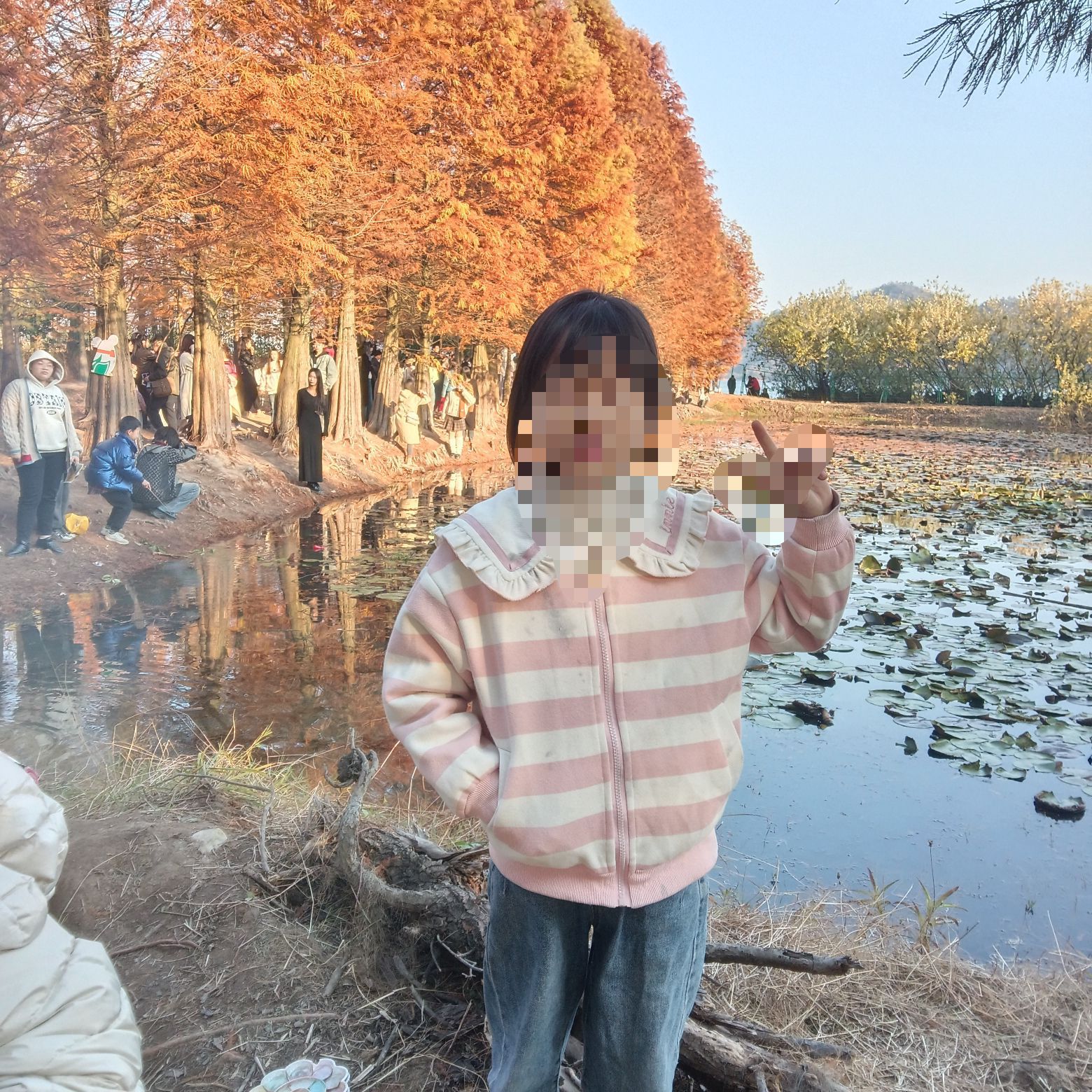 大石坎红水杉旅行图片 3