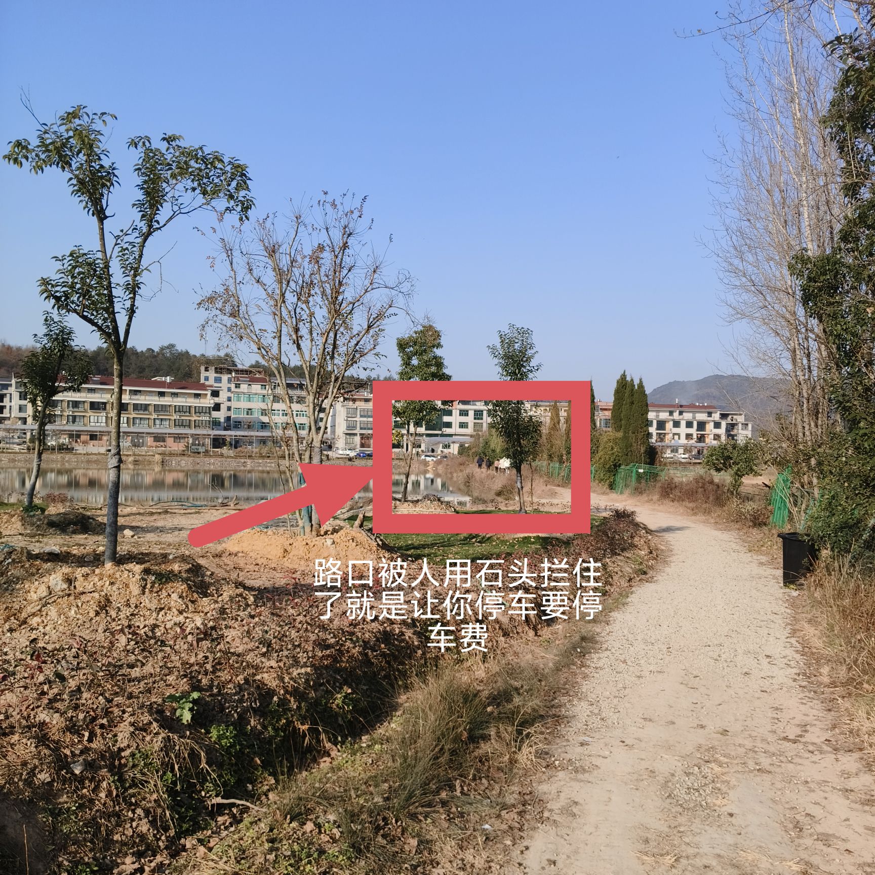 大石坎红水杉旅行图片 3