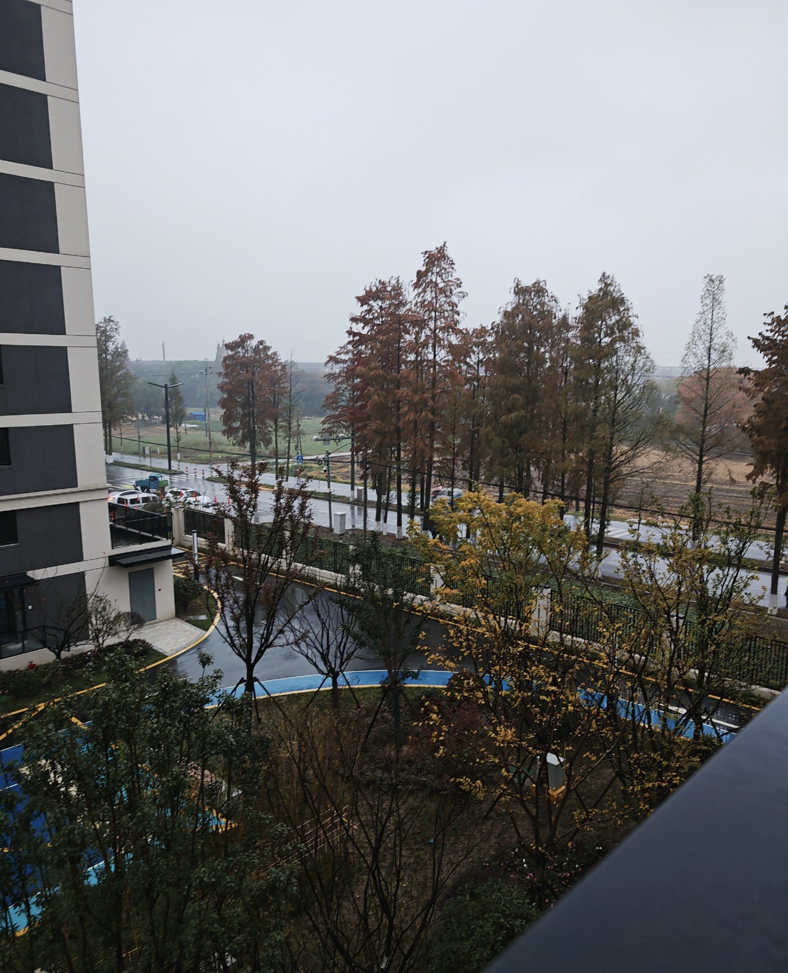 西塘桥街道法治公园旅行图片 3