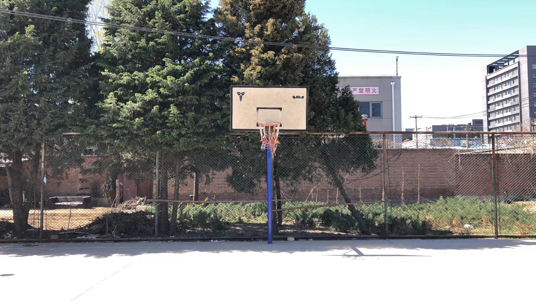 场地封面-丁香园-篮球场