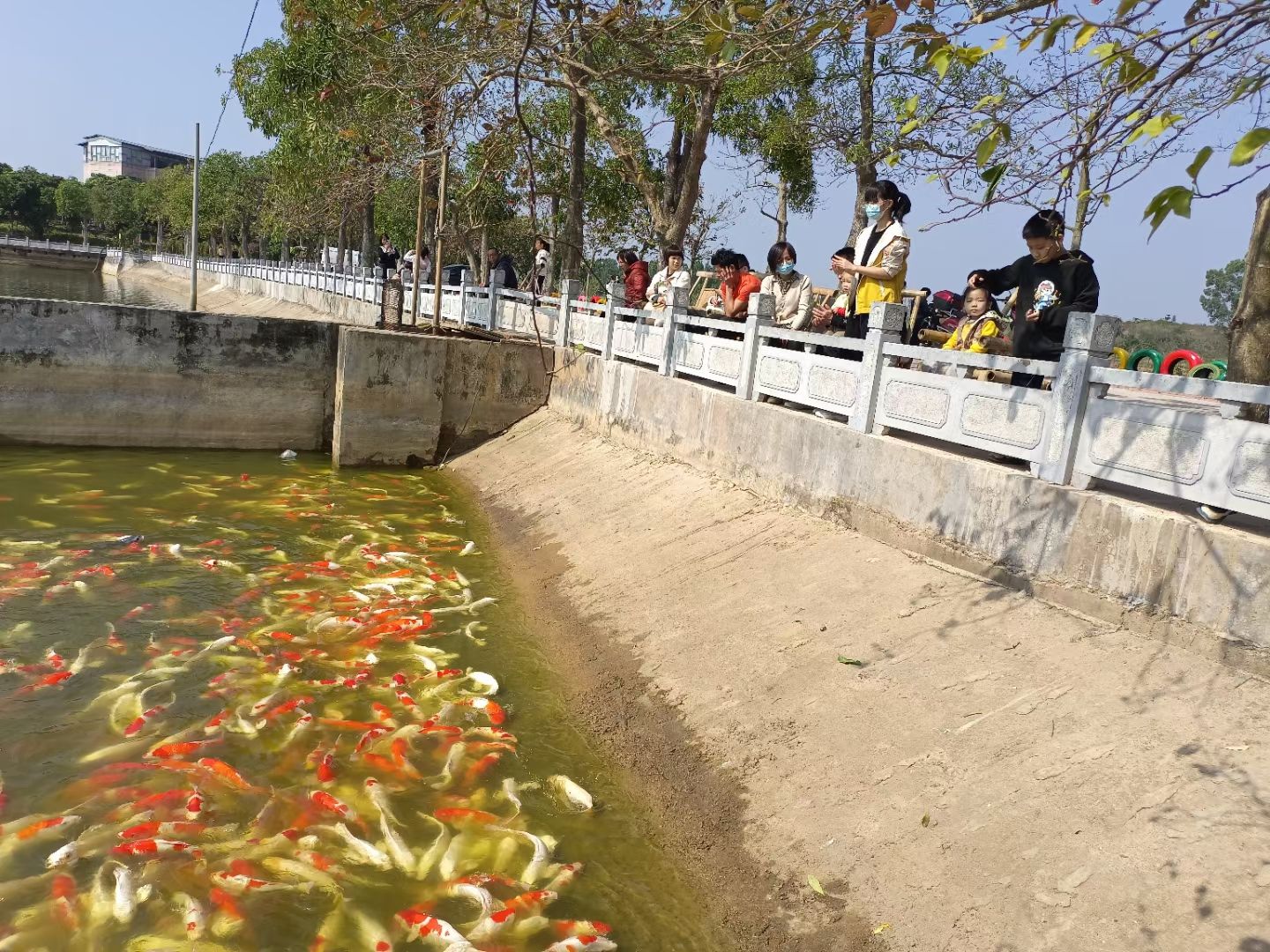 天鹅湖旅游区旅行图片 1
