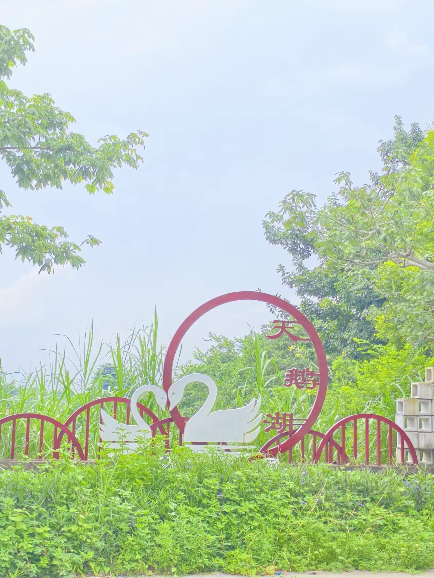 天鹅湖旅游区旅行图片 2