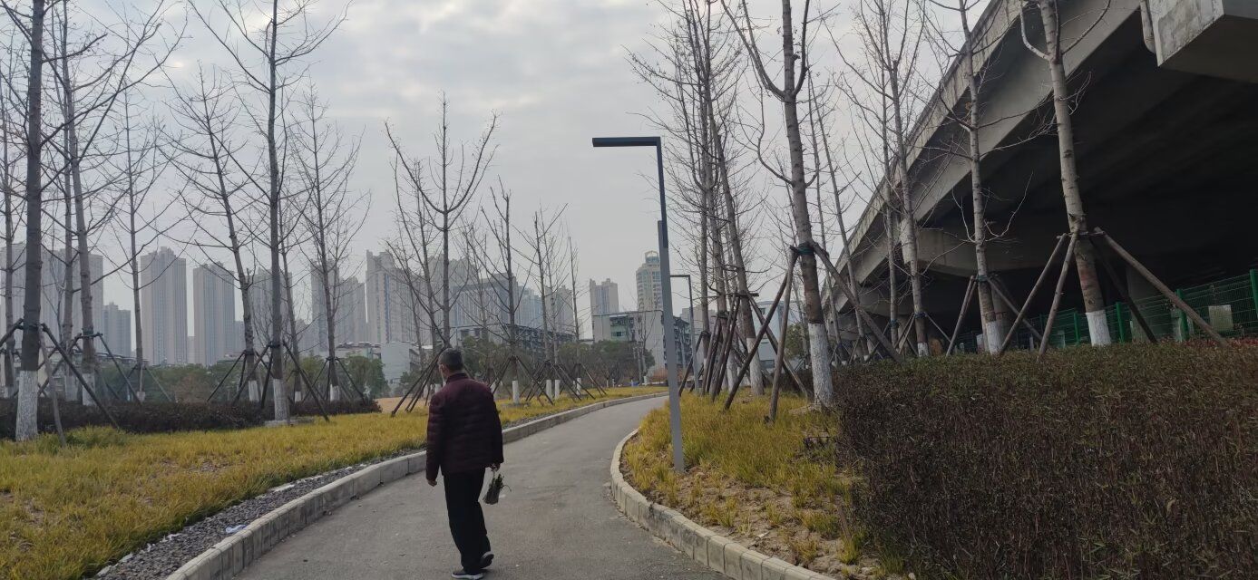南泥湾公园旅行图片 3