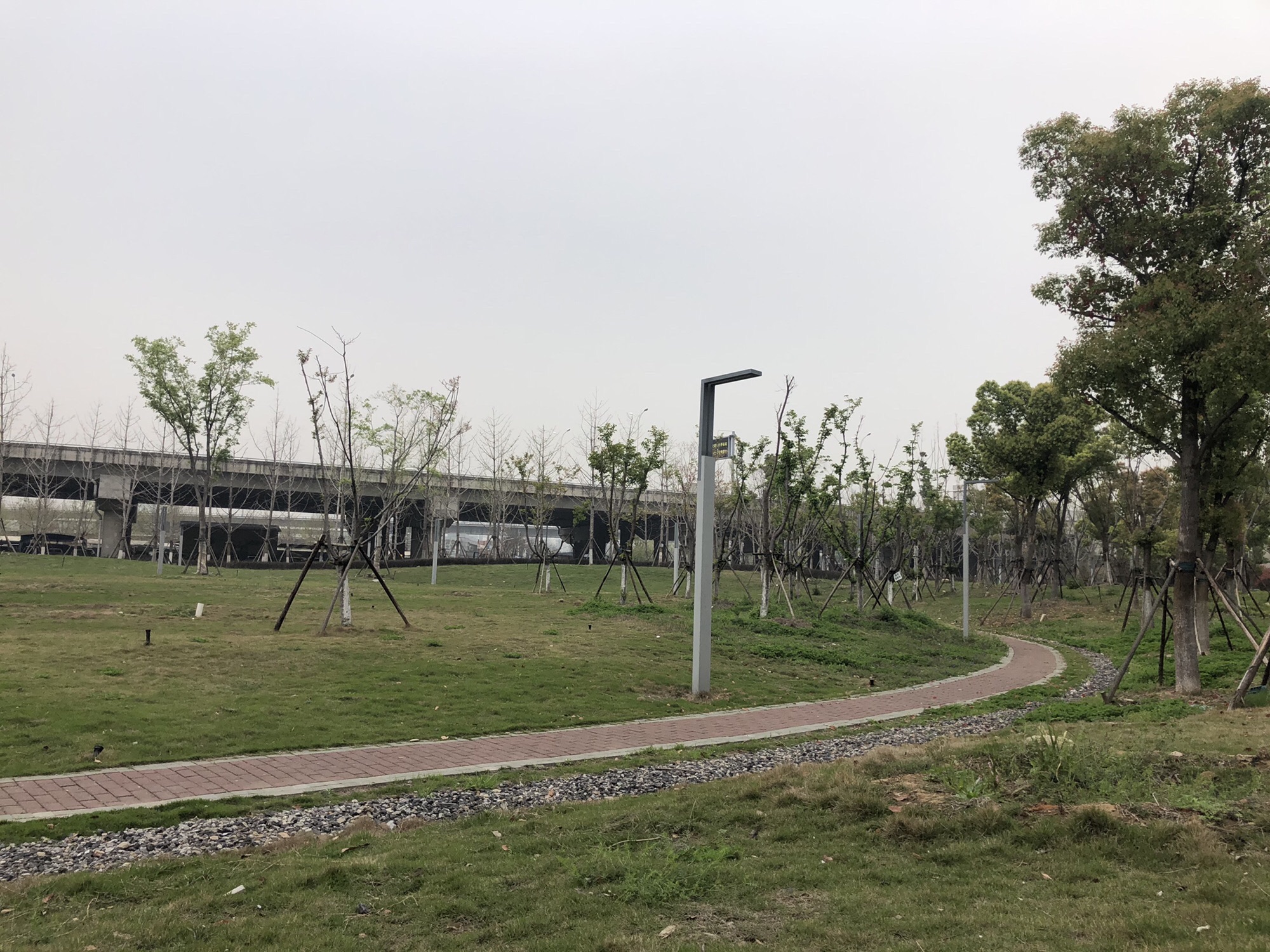 南泥湾公园旅行图片 3