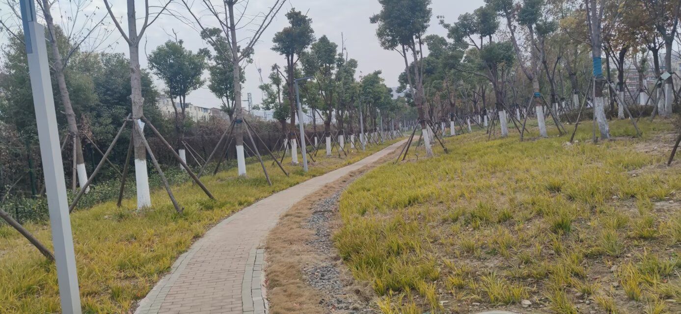 南泥湾公园旅行图片 2